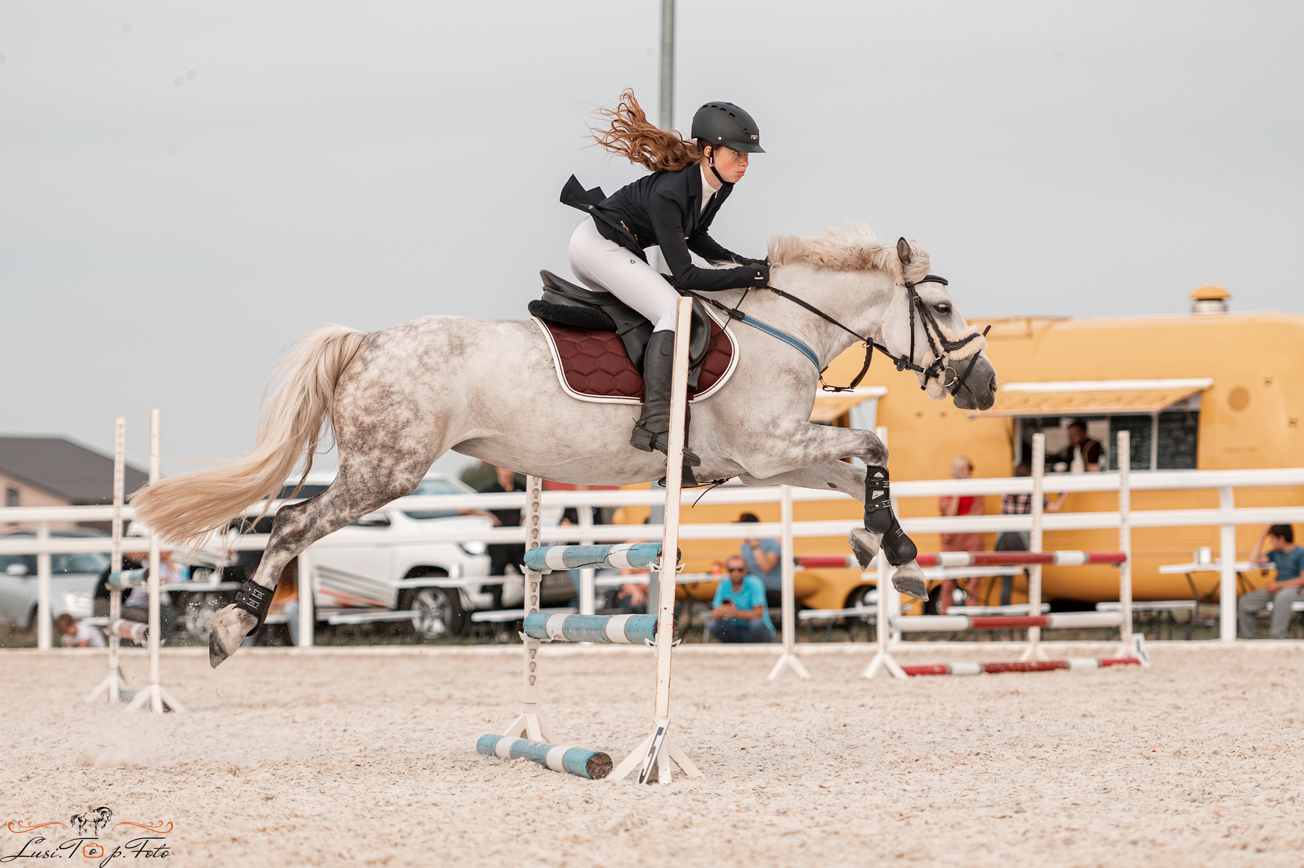 Открытая тренировка по конкуру в КК Equipark. Конный и фотограф с животными в Твери Топталова Люся