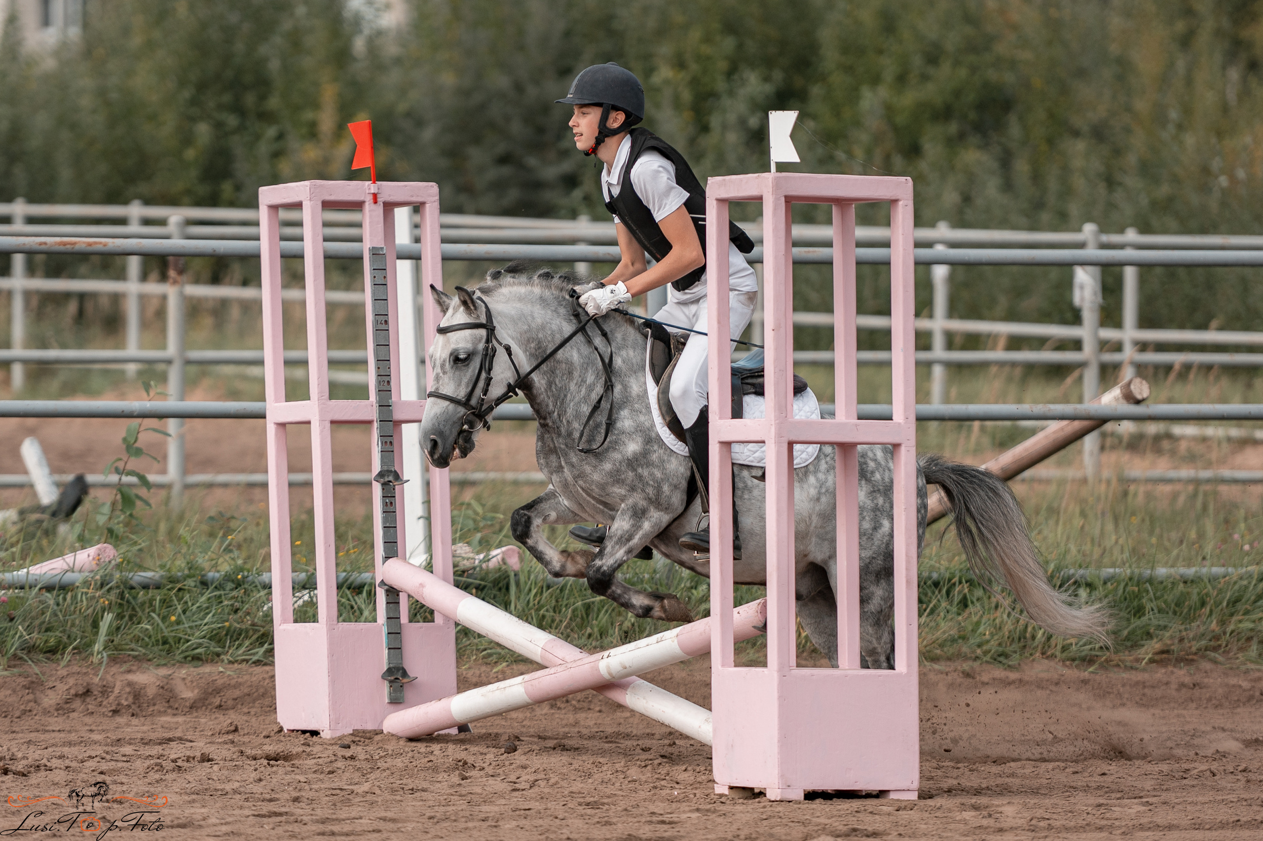 Турнир по выездке и конкуру памяти Н. Ю. Серовой (второй день — конкур). Конный и фотограф с животными в Твери Топталова Люся