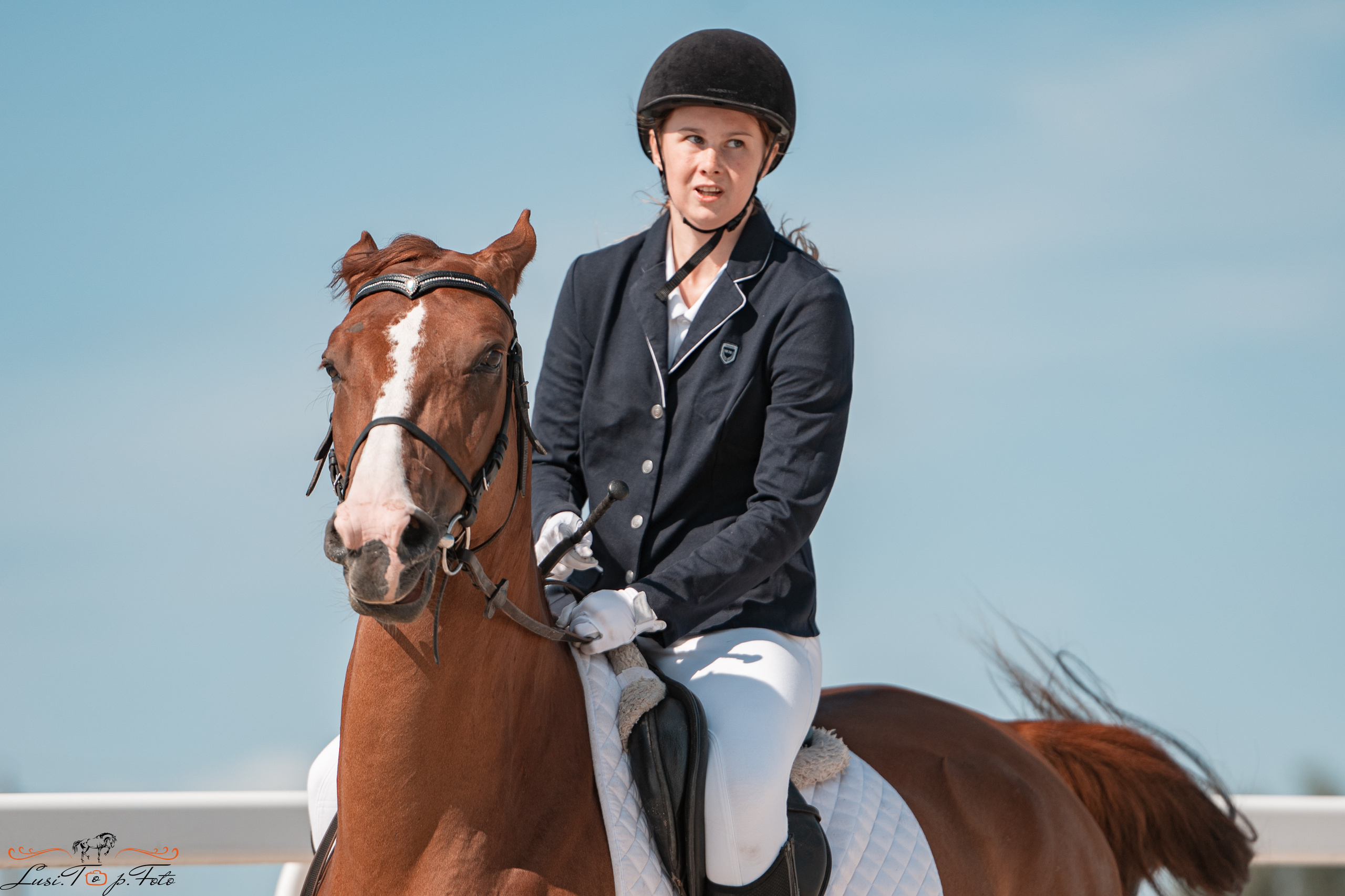 Открытая тренировка по выездке в КК Equipark. Конный и фотограф с животными в Твери Топталова Люся