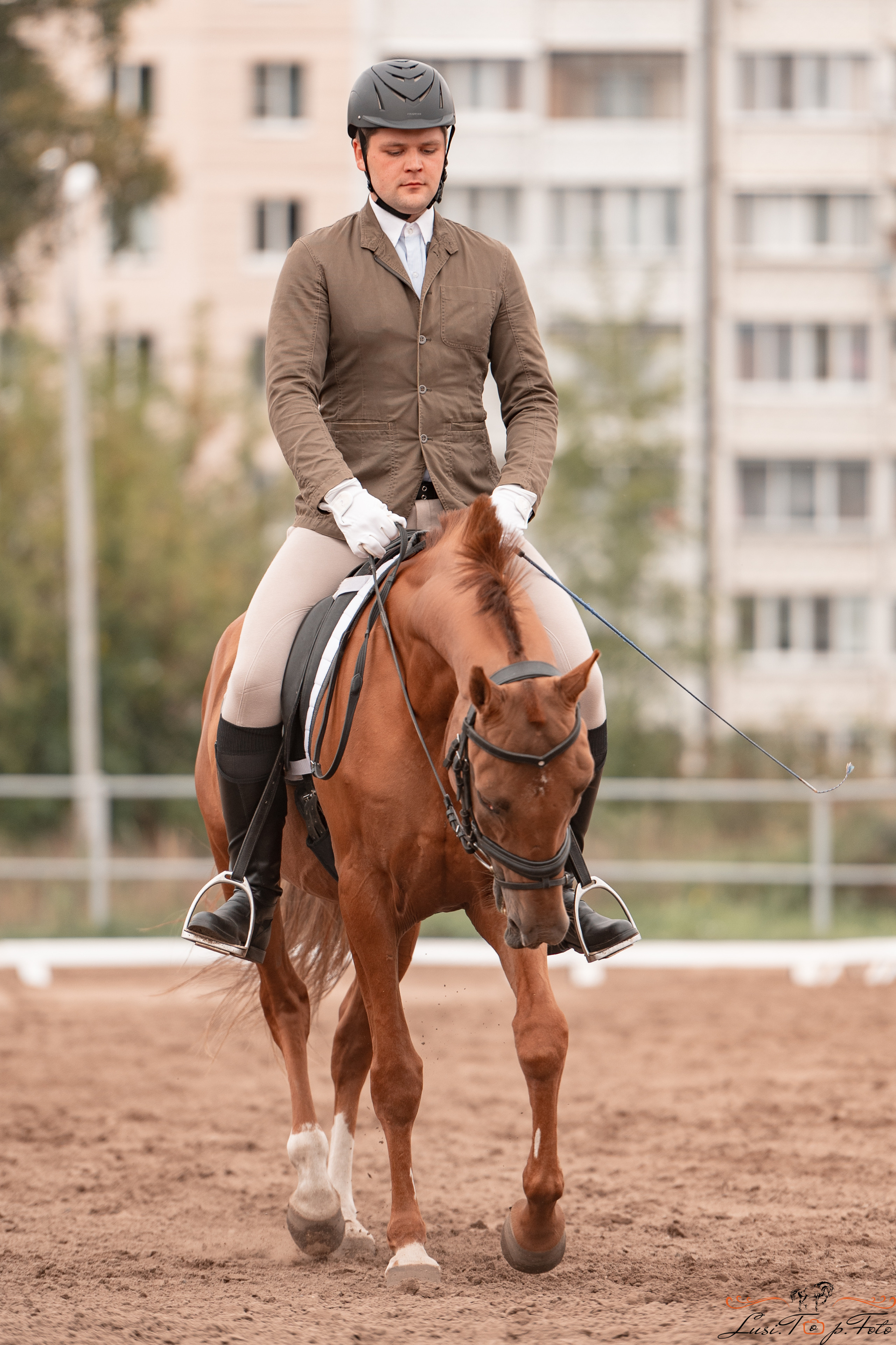 Турнир по выездке и конкуру памяти Н. Ю. Серовой (день 1 — выездка). Конный и фотограф с животными в Твери Топталова Люся