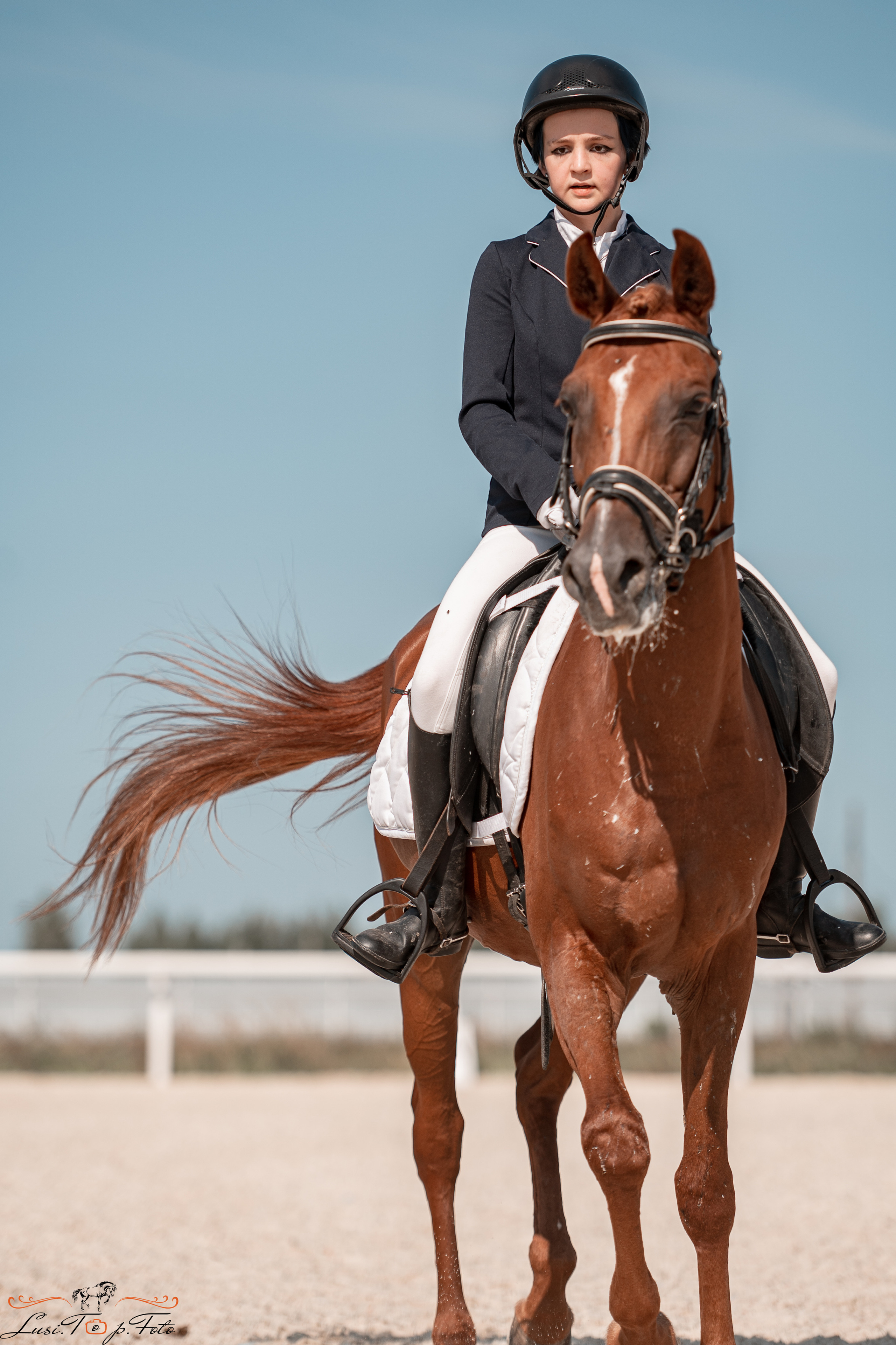 Открытая тренировка по выездке в КК Equipark. Конный и фотограф с животными в Твери Топталова Люся