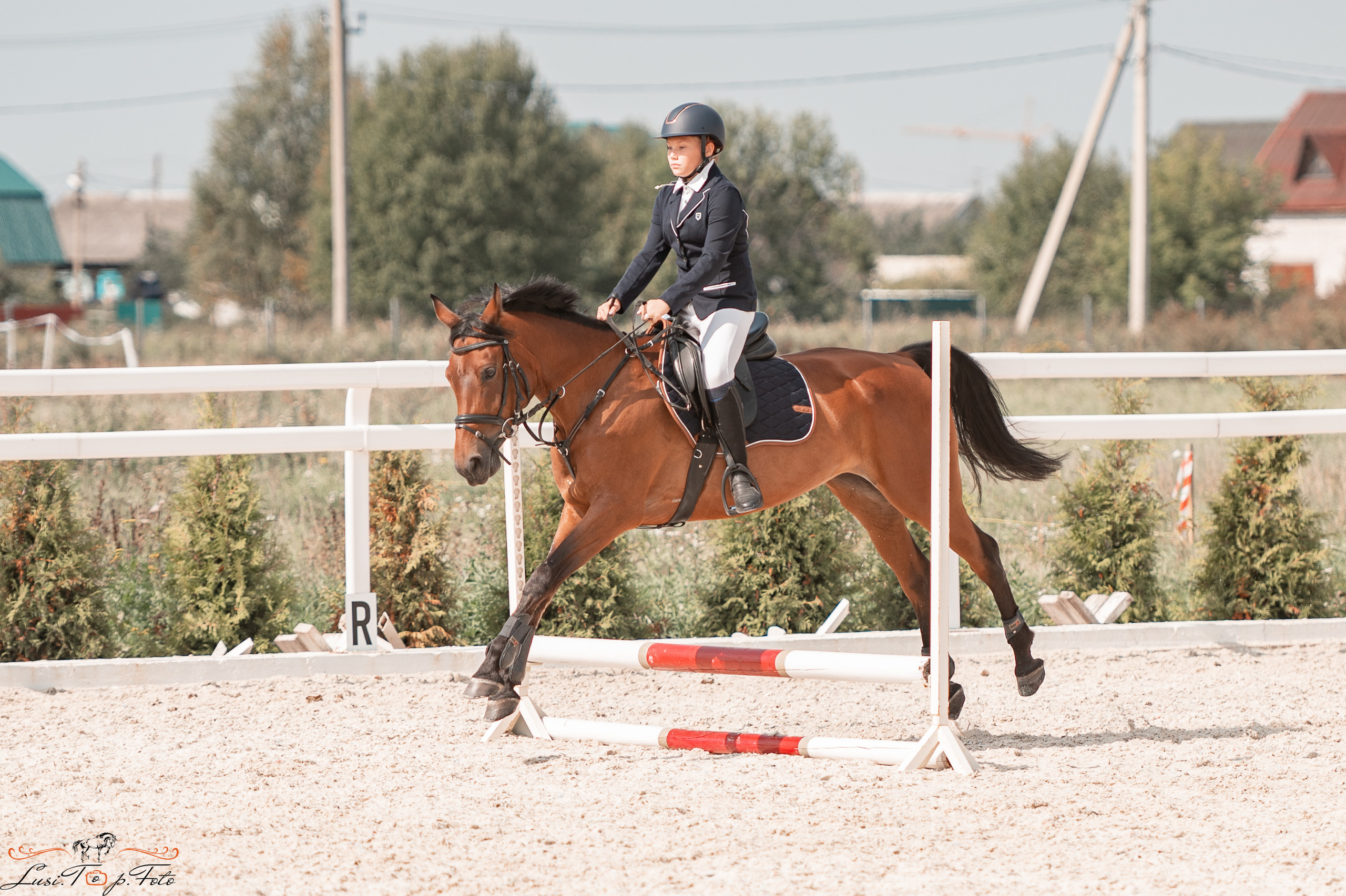 Открытая тренировка по конкуру в КК Equipark. Конный и фотограф с животными в Твери Топталова Люся