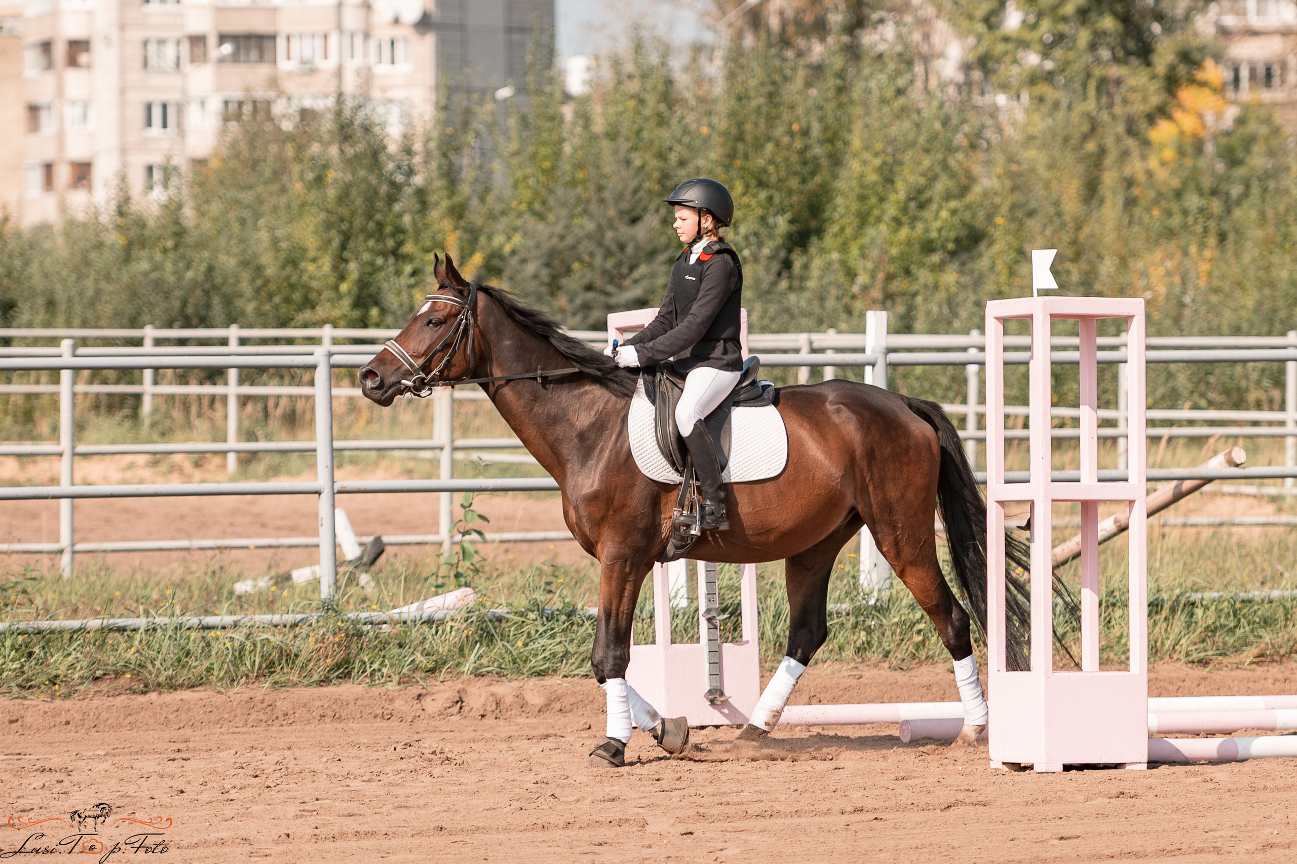 Турнир по выездке и конкуру памяти Н. Ю. Серовой (второй день — конкур). Конный и фотограф с животными в Твери Топталова Люся