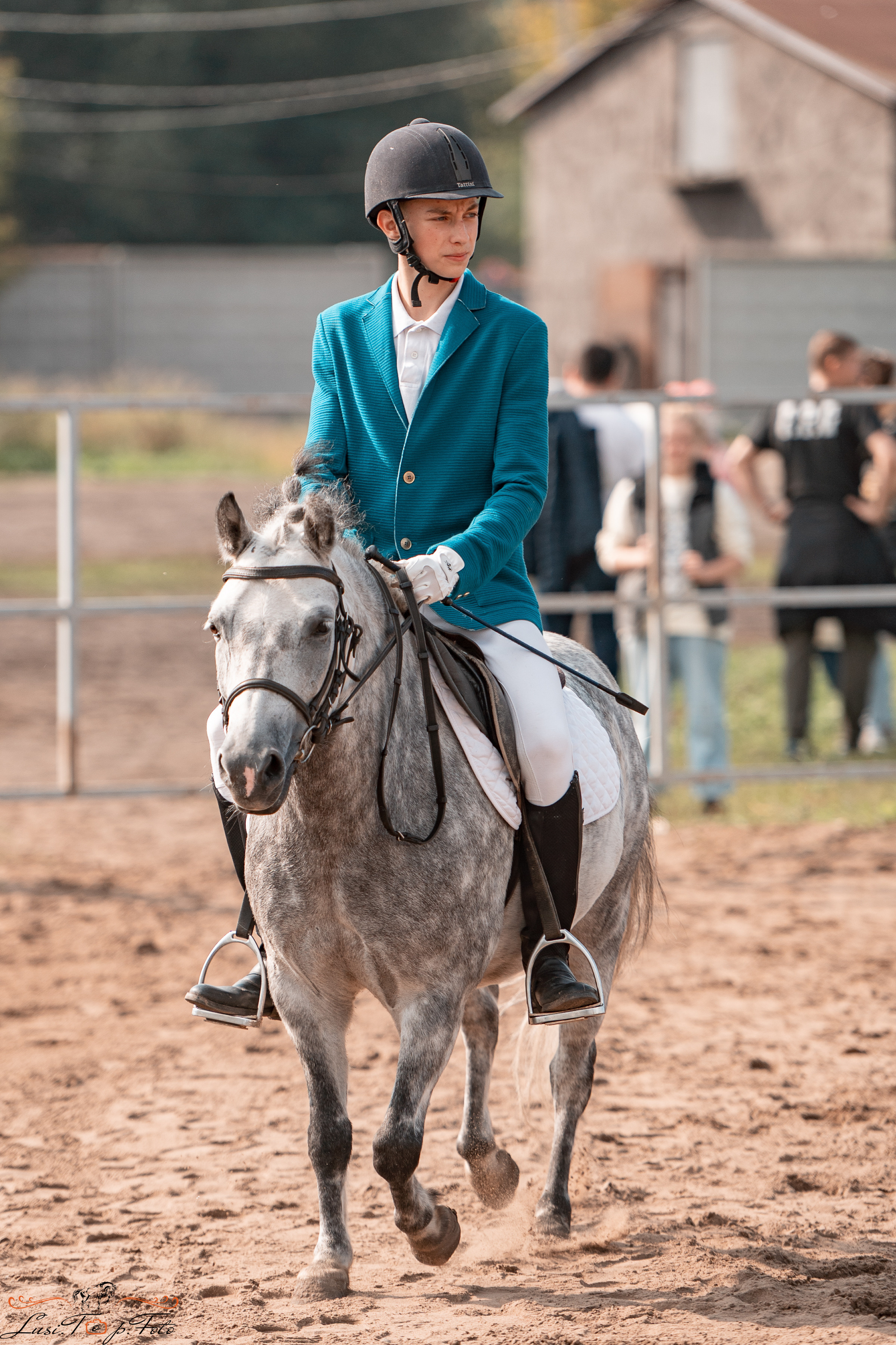 Турнир по выездке и конкуру памяти Н. Ю. Серовой (второй день — конкур). Конный и фотограф с животными в Твери Топталова Люся