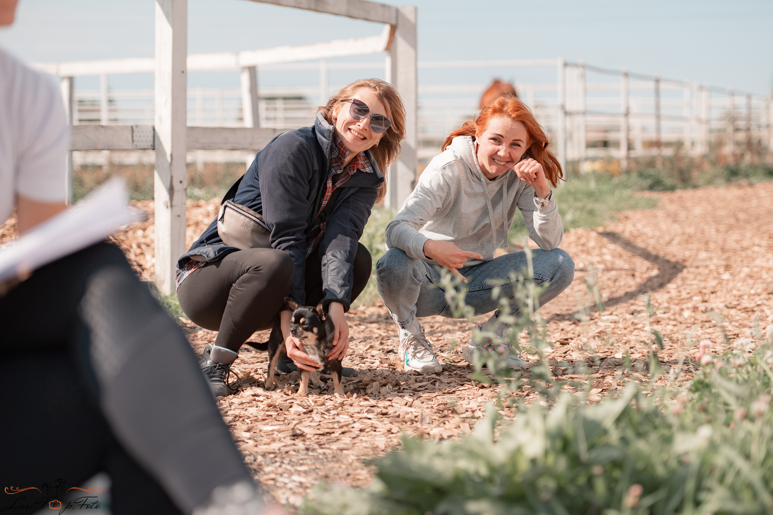 Открытая тренировка по выездке в КК Equipark. Конный и фотограф с животными в Твери Топталова Люся