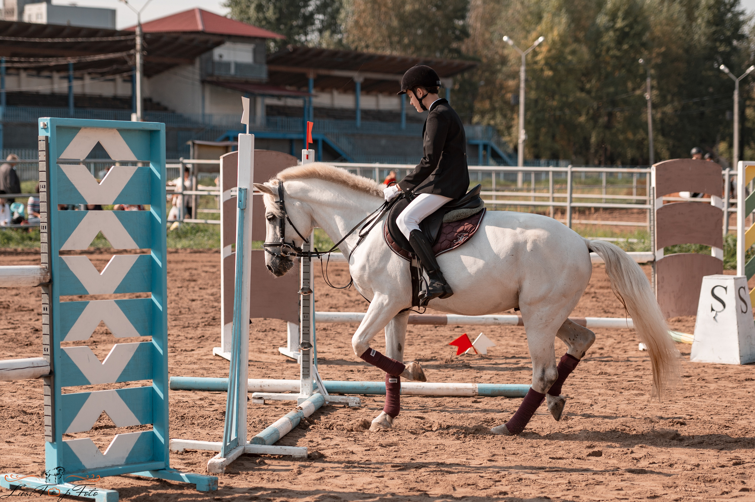 Турнир по выездке и конкуру памяти Н. Ю. Серовой (второй день — конкур). Конный и фотограф с животными в Твери Топталова Люся