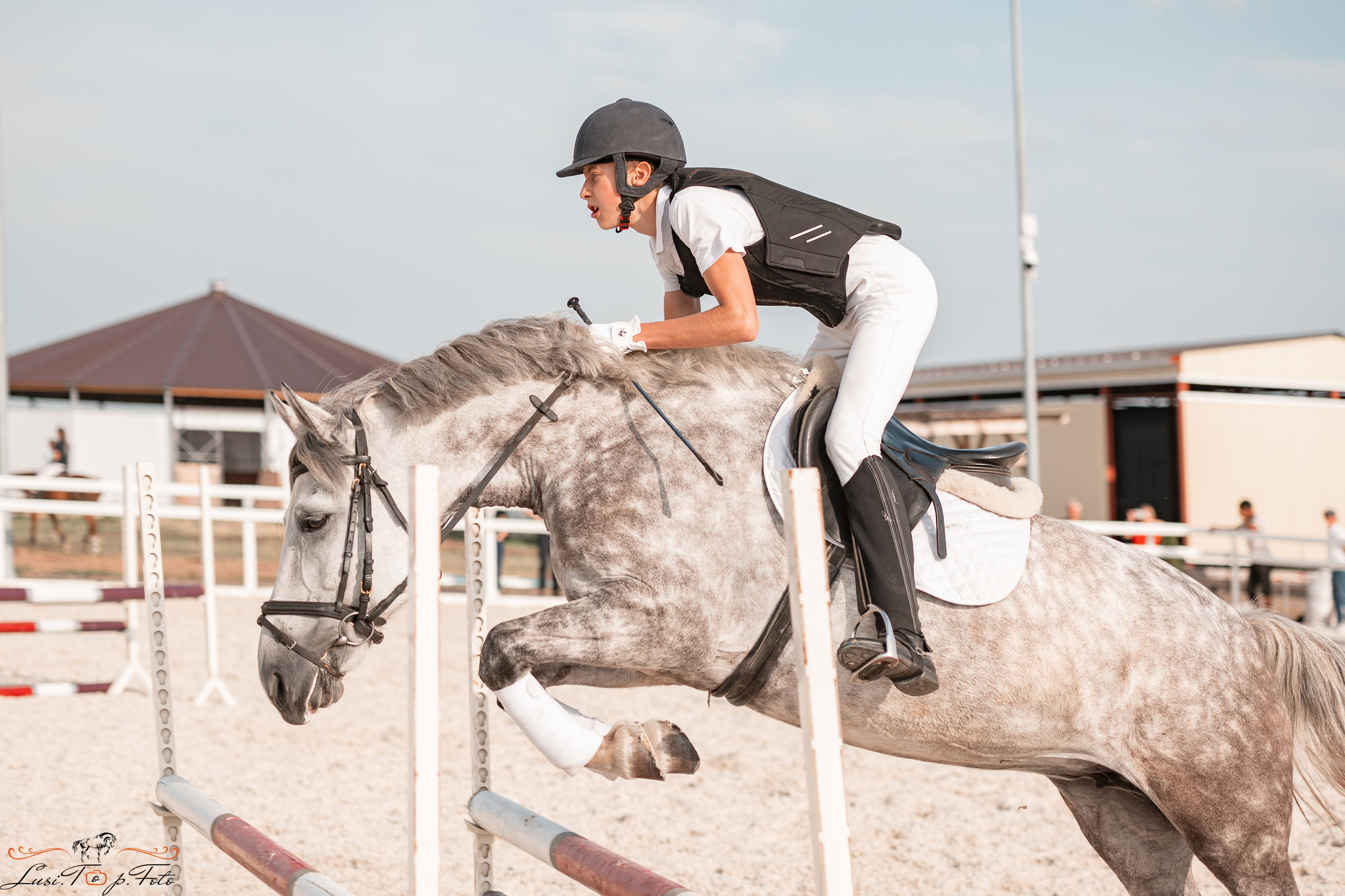 Открытая тренировка по конкуру в КК Equipark. Конный и фотограф с животными в Твери Топталова Люся
