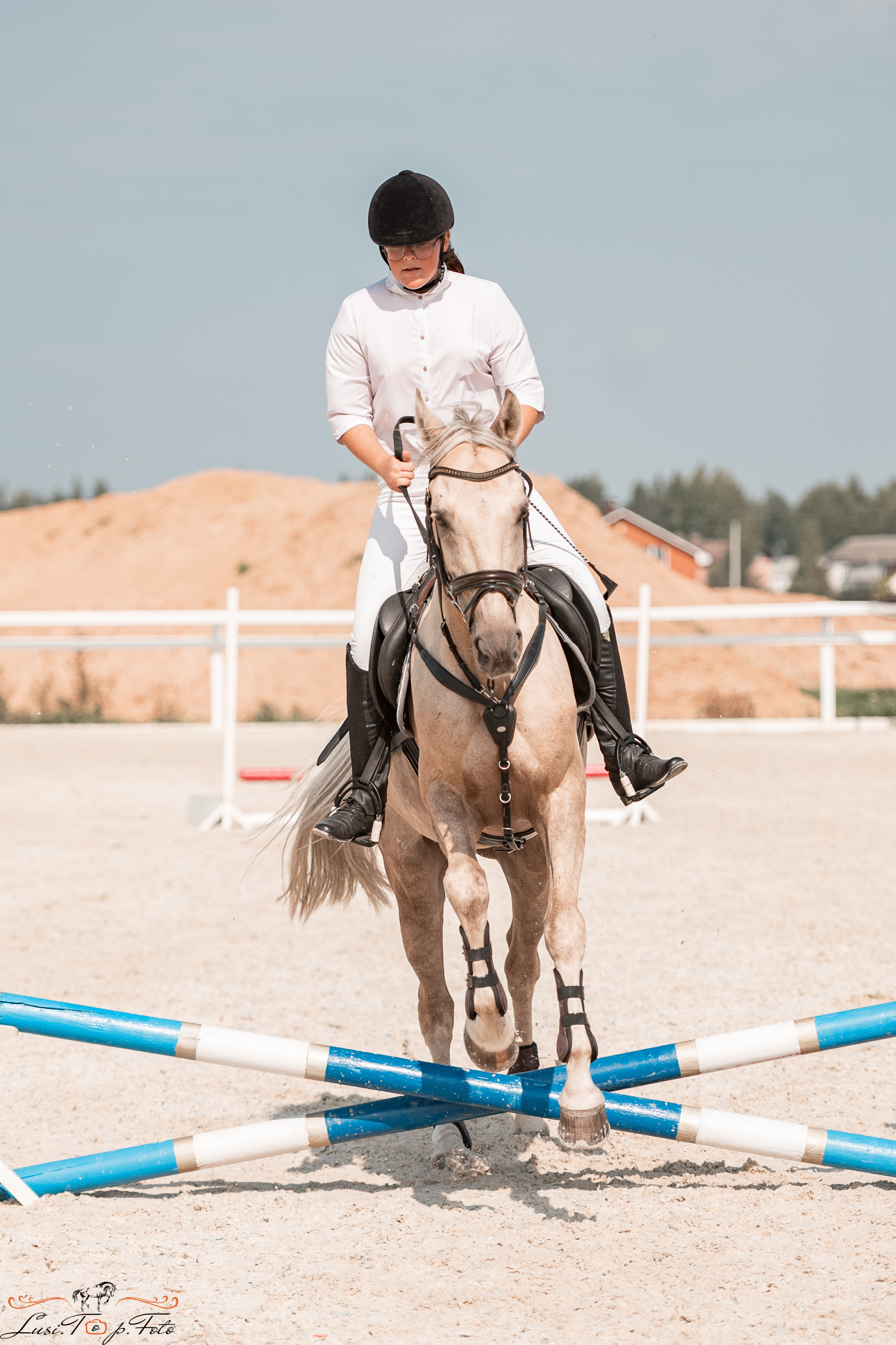 Открытая тренировка по конкуру в КК Equipark. Конный и фотограф с животными в Твери Топталова Люся