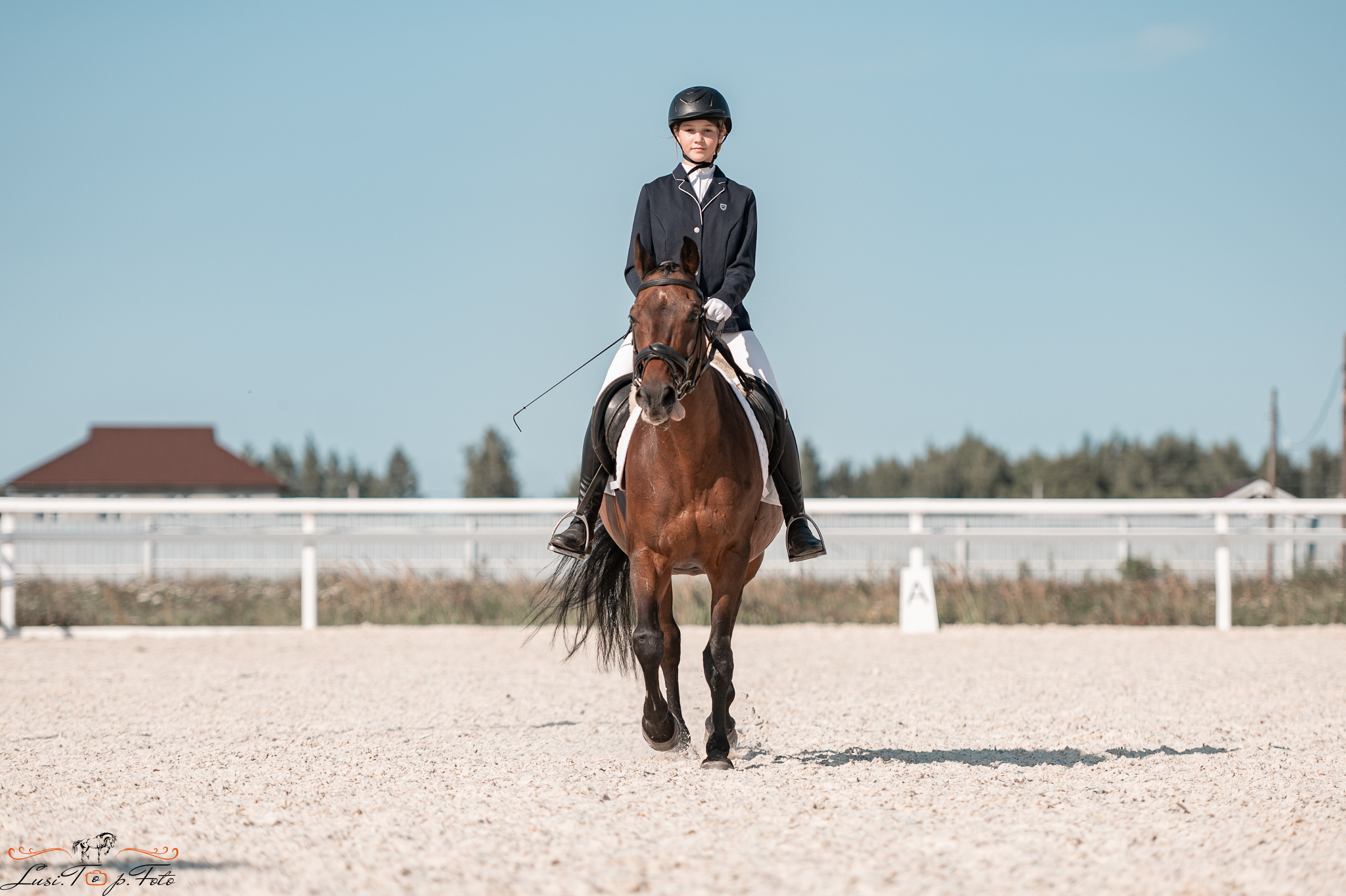 Открытая тренировка по выездке в КК Equipark. Конный и фотограф с животными в Твери Топталова Люся