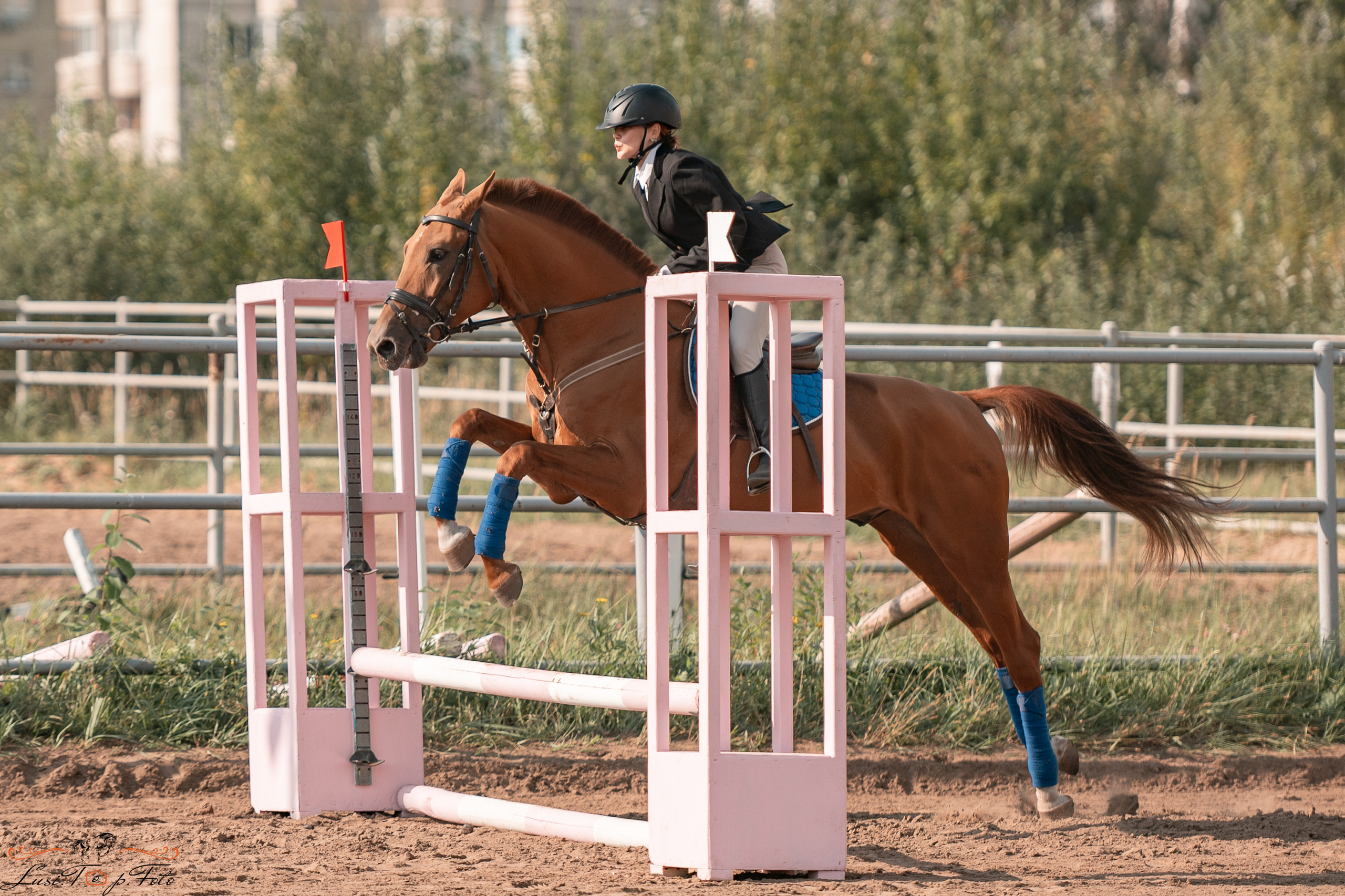 Турнир по выездке и конкуру памяти Н. Ю. Серовой (второй день — конкур). Конный и фотограф с животными в Твери Топталова Люся