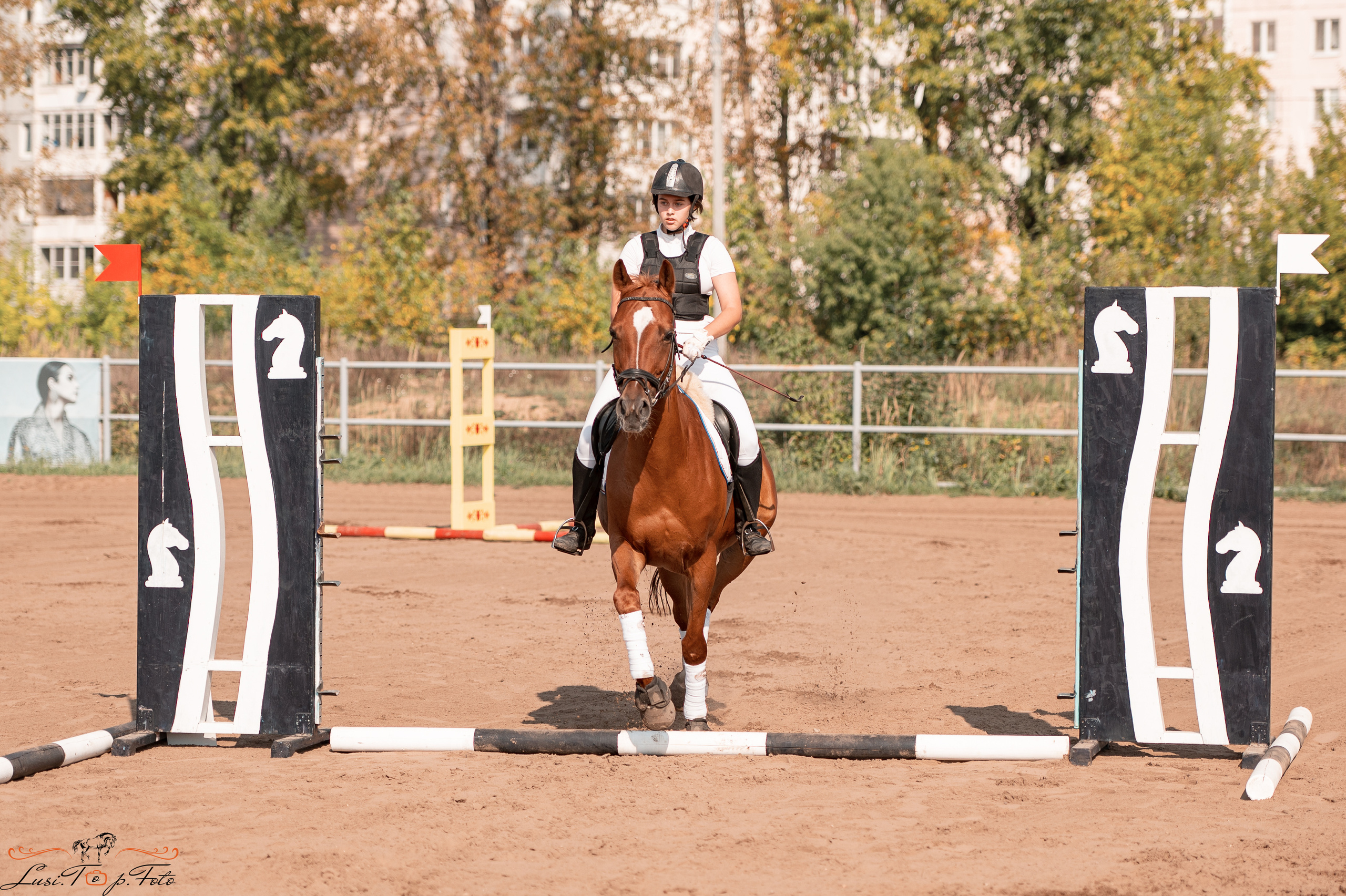 Турнир по выездке и конкуру памяти Н. Ю. Серовой (второй день — конкур). Конный и фотограф с животными в Твери Топталова Люся