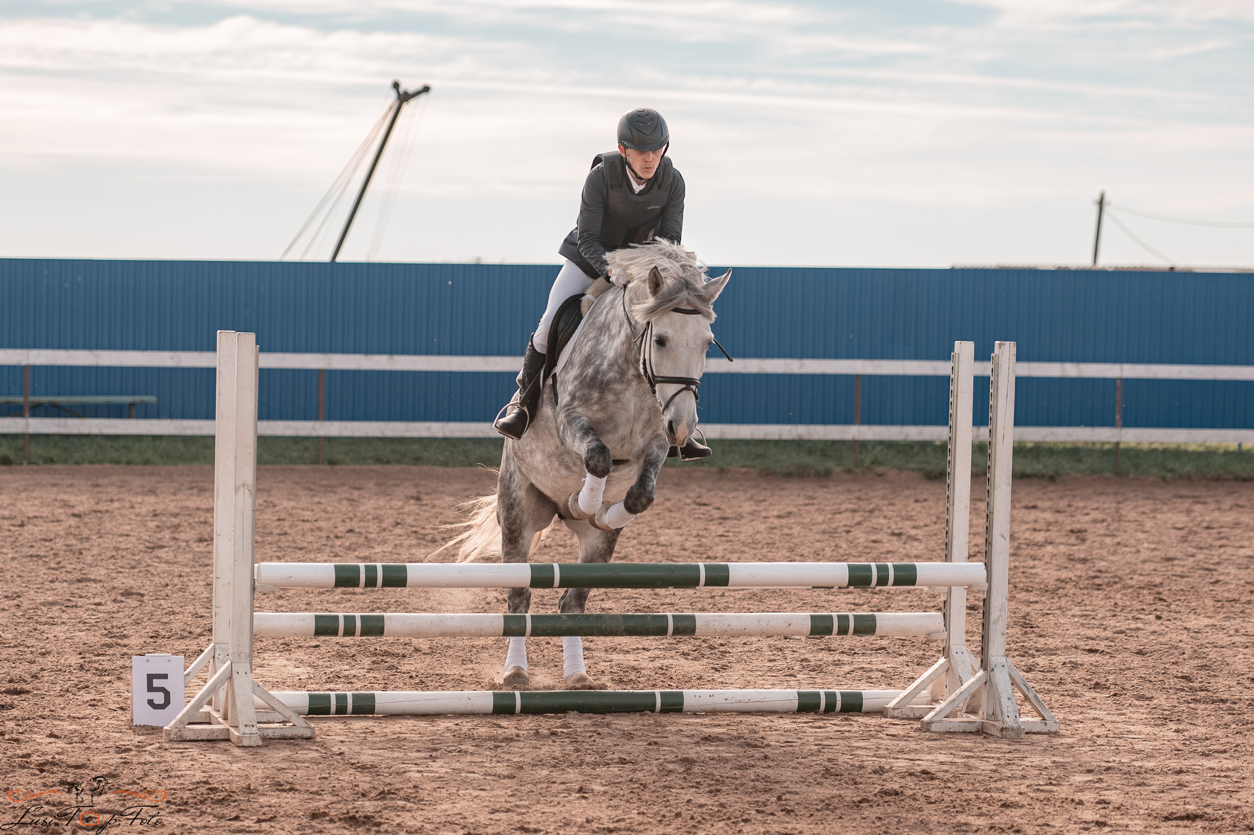 Открытая тренировка КК «Резвая». Конный и фотограф с животными в Твери Топталова Люся