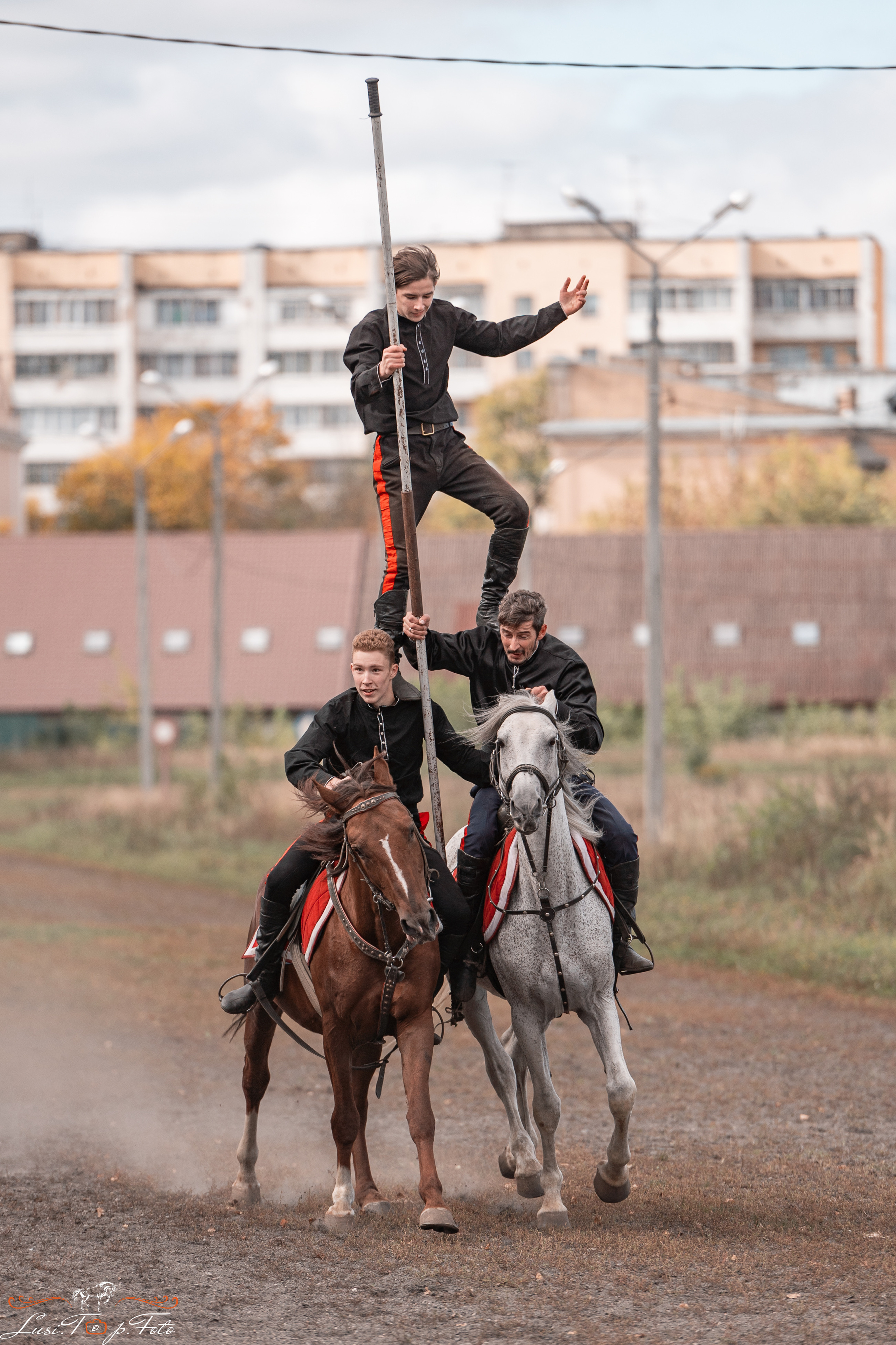 День лошади 2021. Конный и фотограф с животными в Твери Топталова Люся