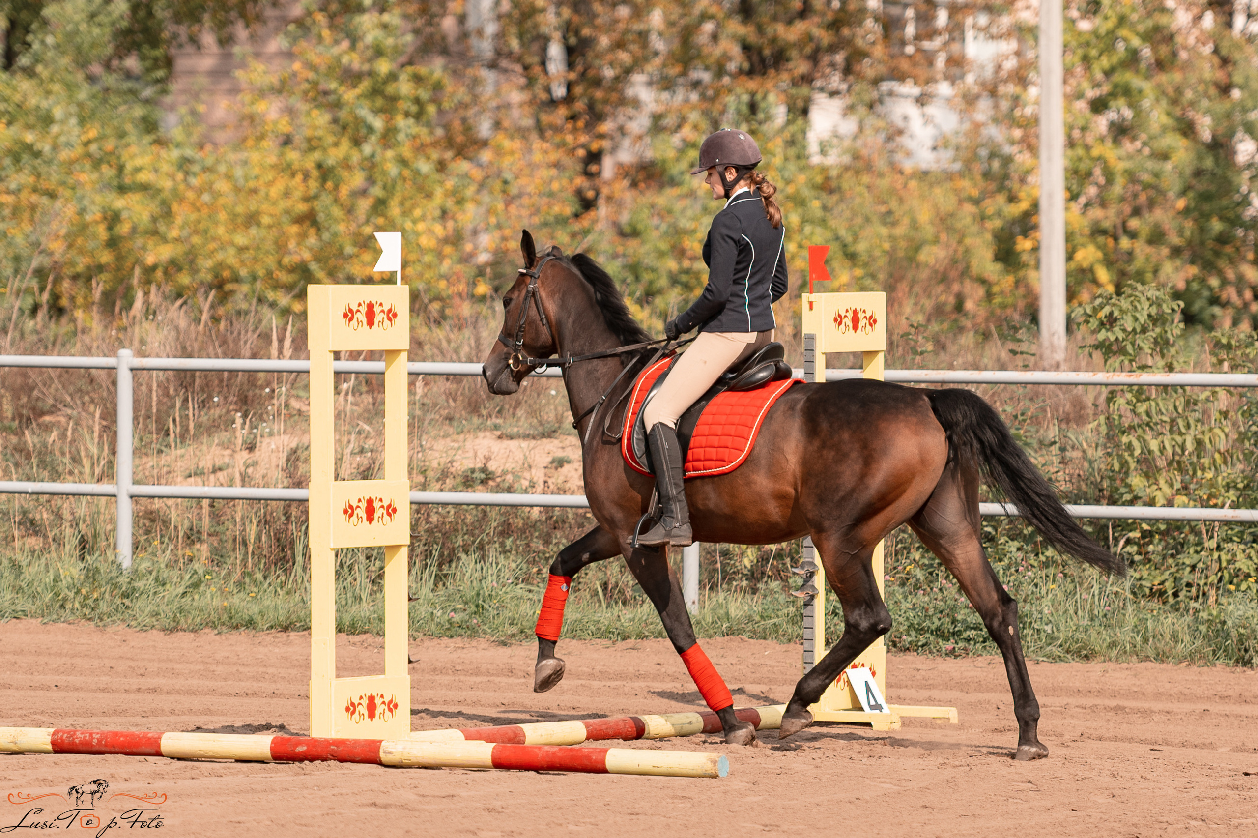 Турнир по выездке и конкуру памяти Н. Ю. Серовой (второй день — конкур). Конный и фотограф с животными в Твери Топталова Люся