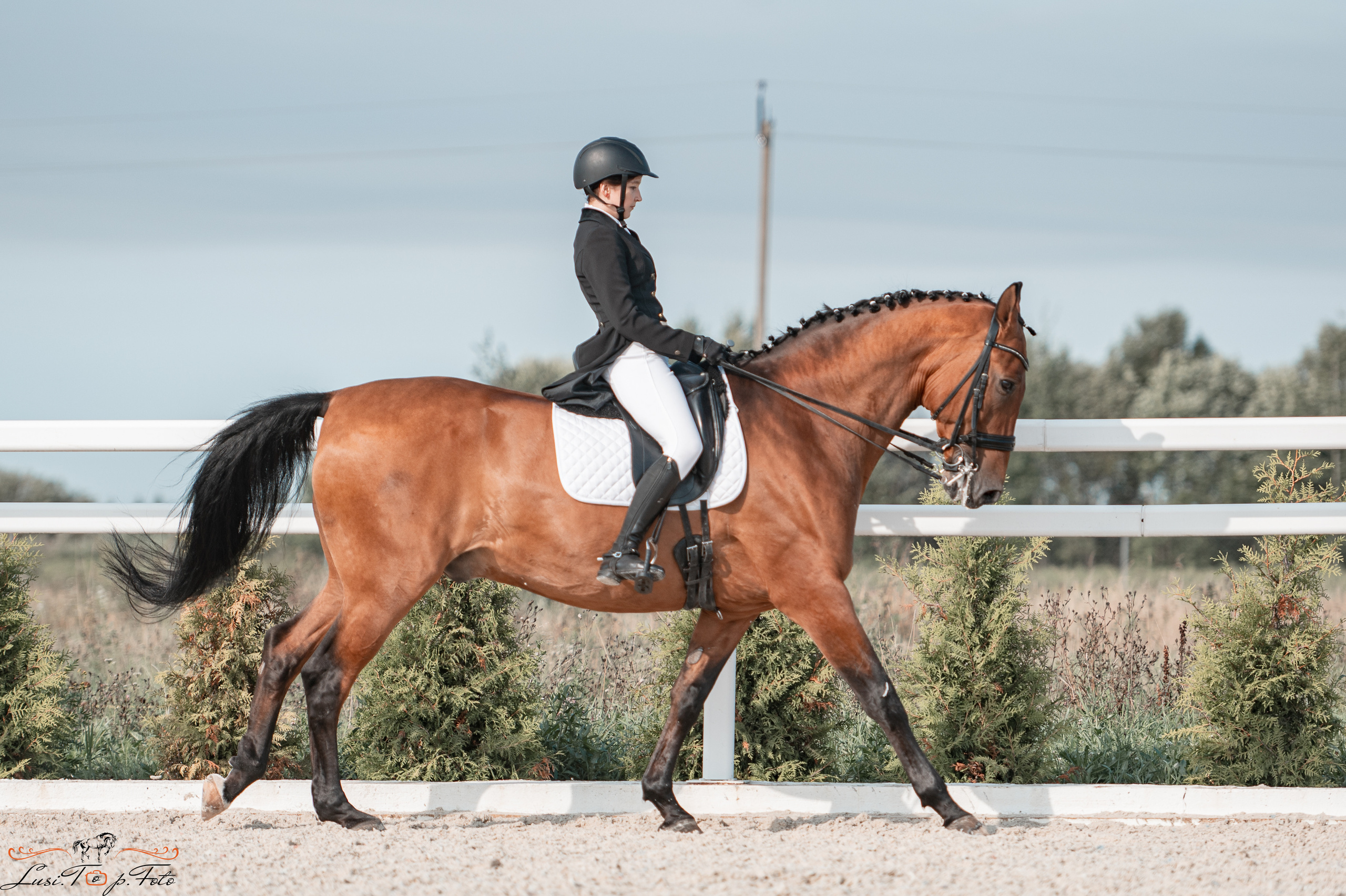 Открытая тренировка по выездке в КК Equipark. Конный и фотограф с животными в Твери Топталова Люся