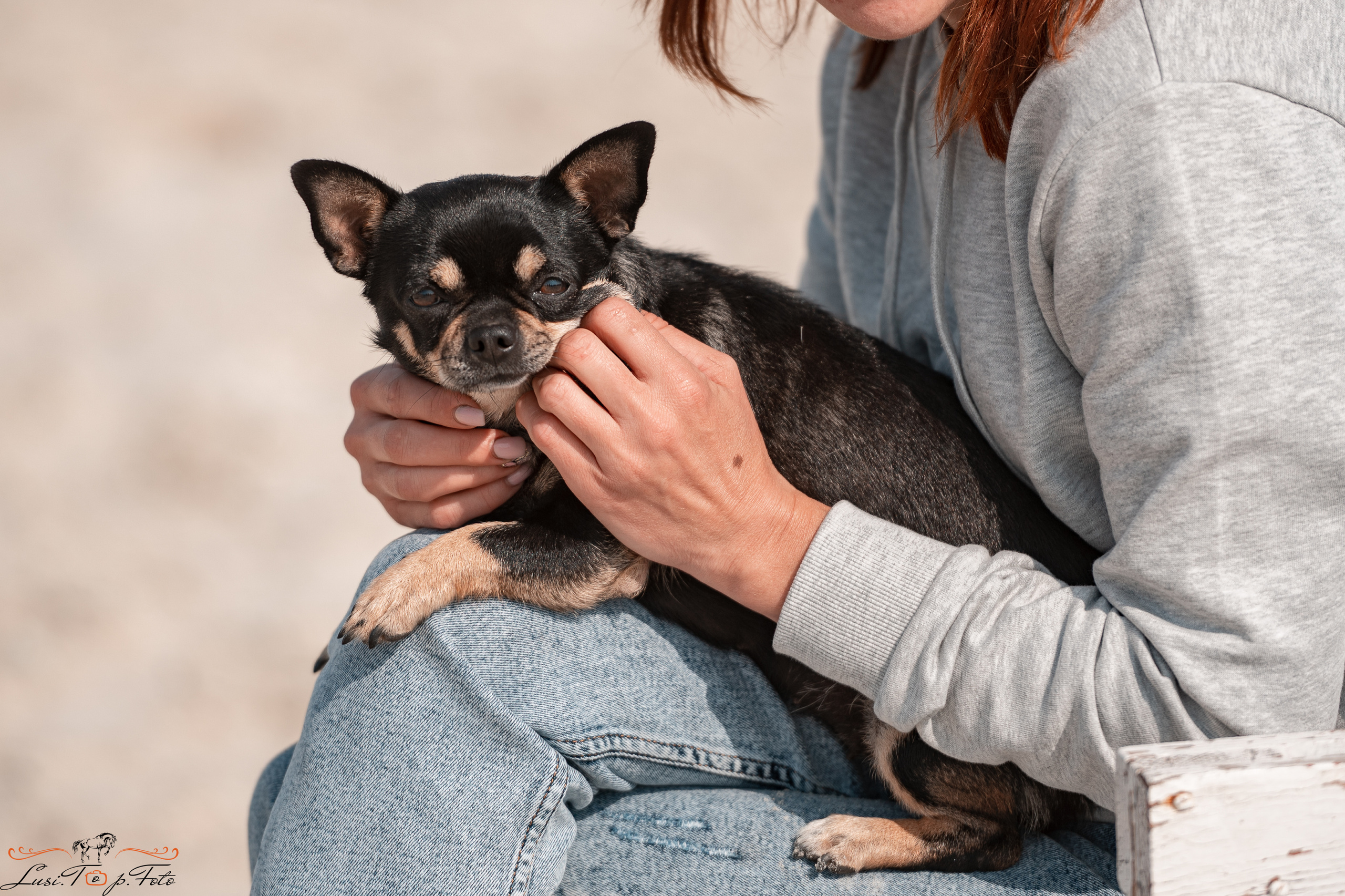Открытая тренировка по выездке в КК Equipark. Конный и фотограф с животными в Твери Топталова Люся