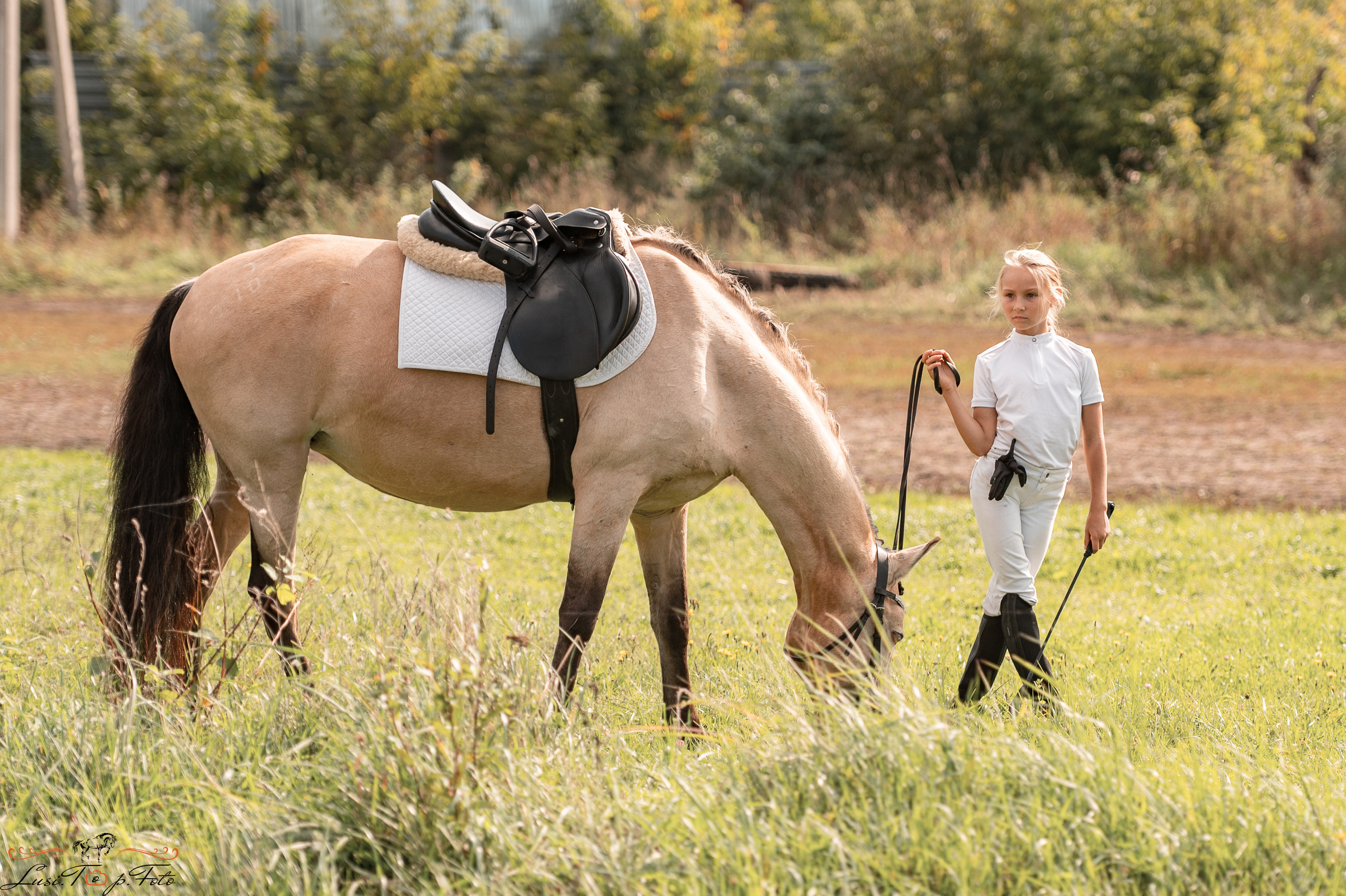Турнир по выездке и конкуру памяти Н. Ю. Серовой (второй день — конкур). Конный и фотограф с животными в Твери Топталова Люся