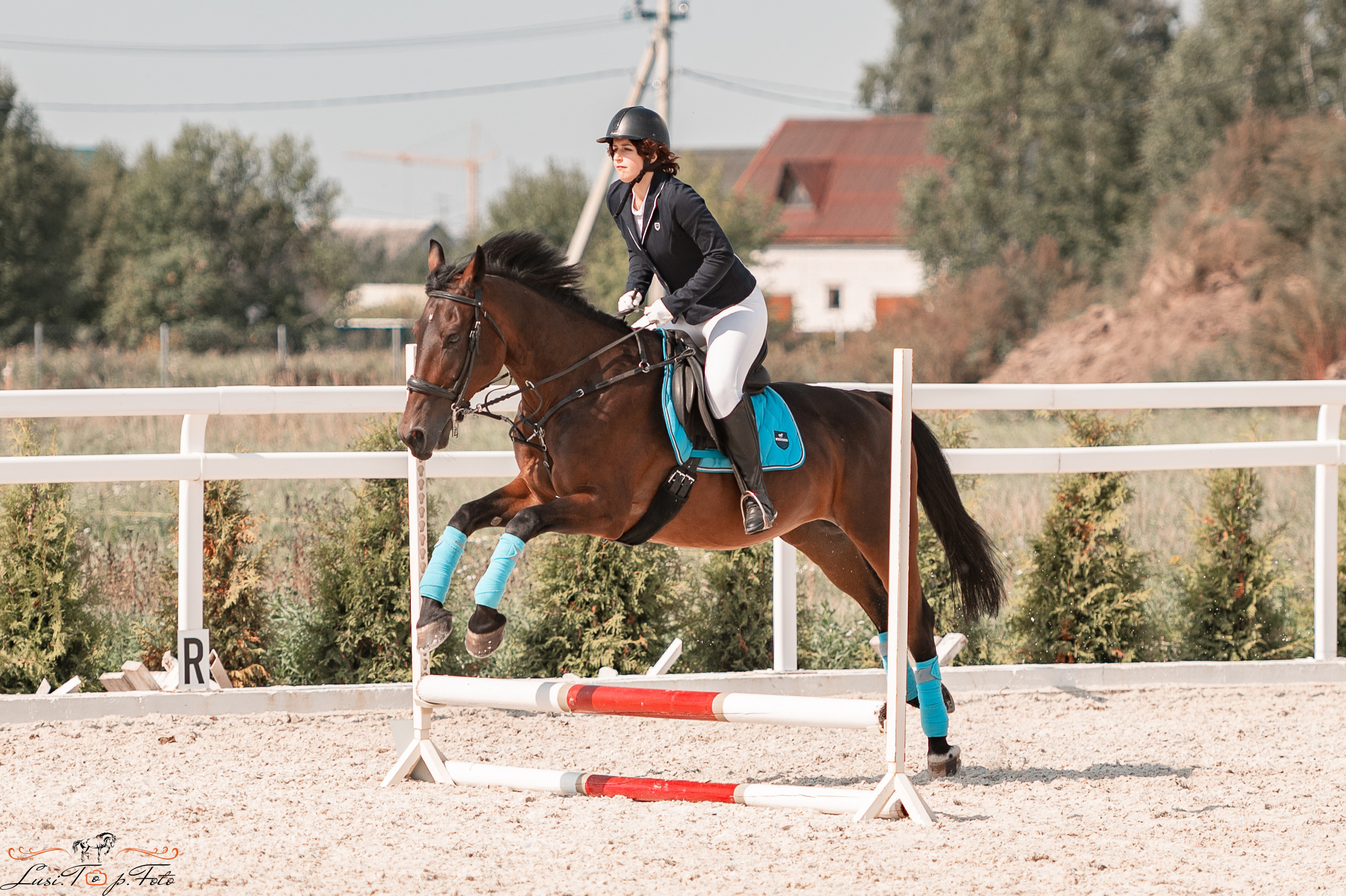 Открытая тренировка по конкуру в КК Equipark. Конный и фотограф с животными в Твери Топталова Люся
