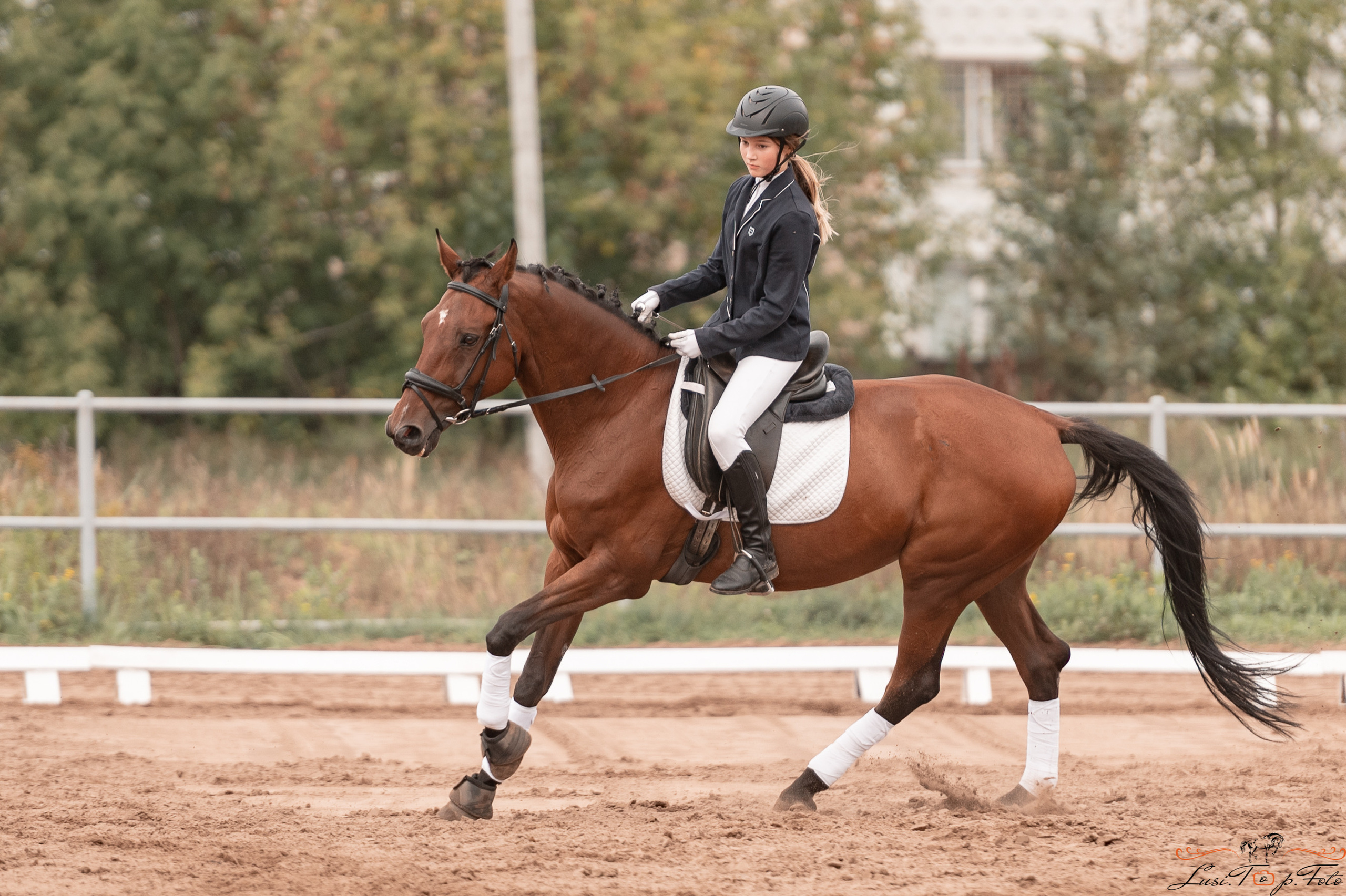Турнир по выездке и конкуру памяти Н. Ю. Серовой (день 1 — выездка). Конный и фотограф с животными в Твери Топталова Люся