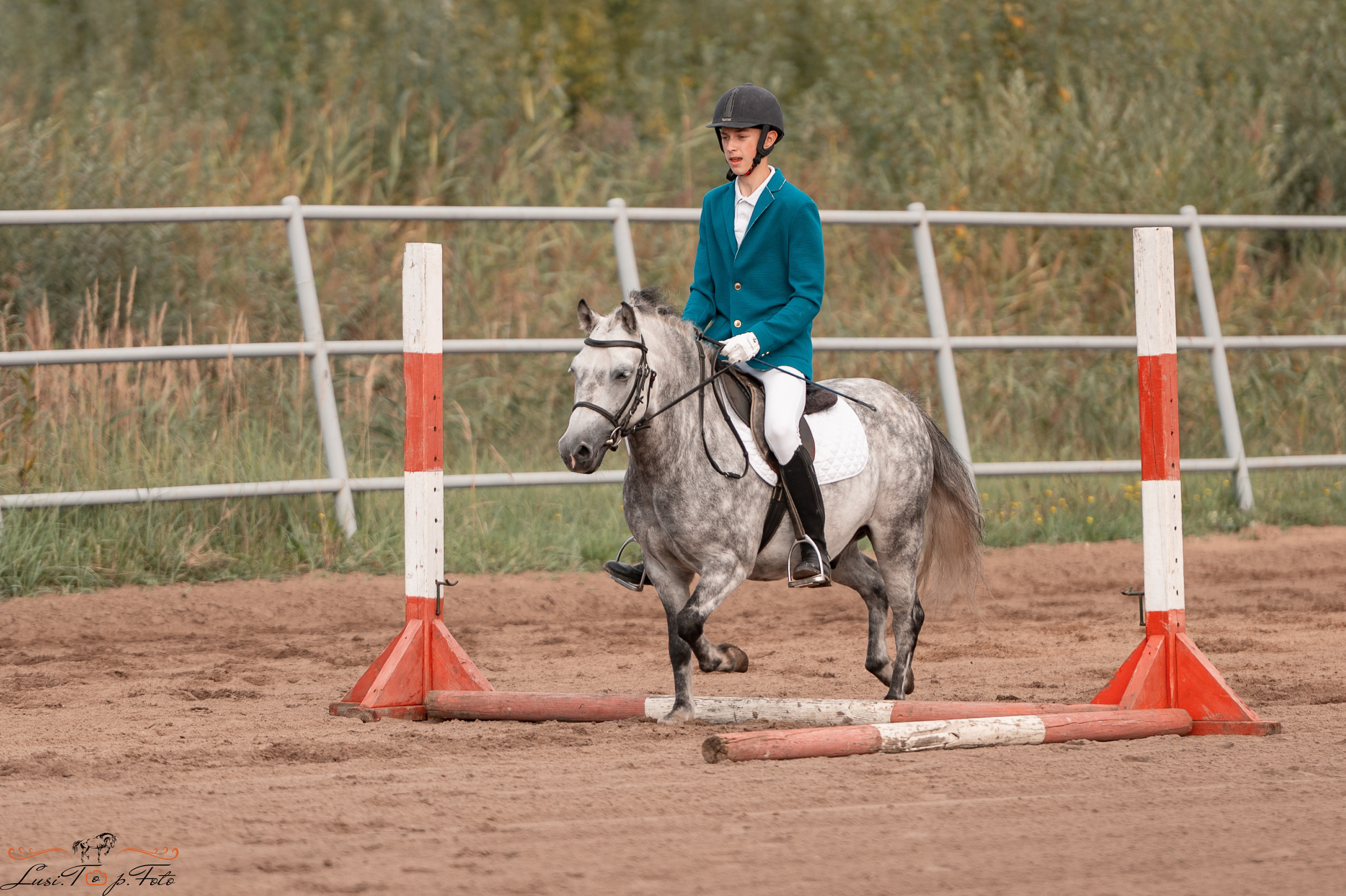 Турнир по выездке и конкуру памяти Н. Ю. Серовой (второй день — конкур). Конный и фотограф с животными в Твери Топталова Люся