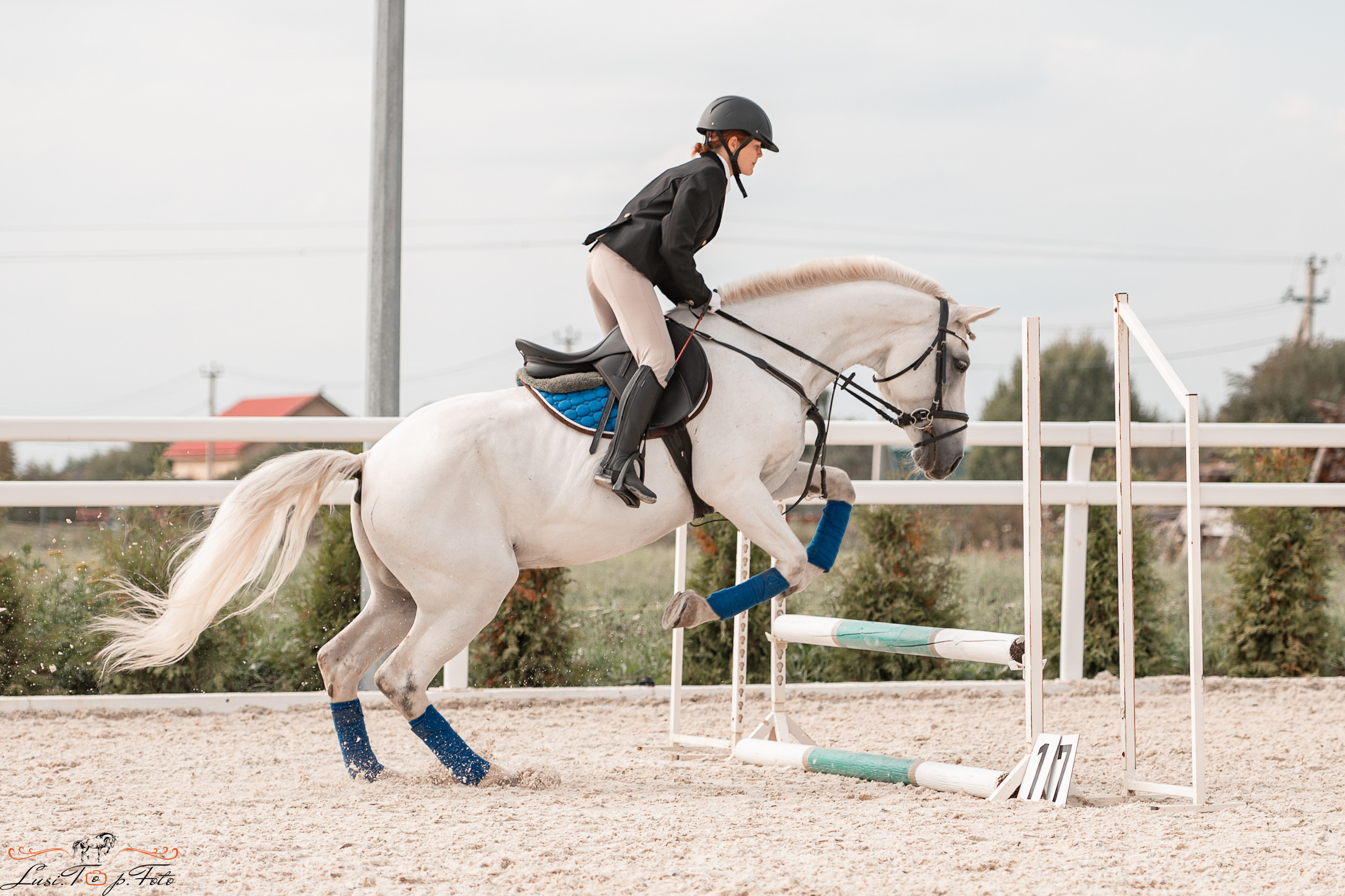 Открытая тренировка по конкуру в КК Equipark. Конный и фотограф с животными в Твери Топталова Люся