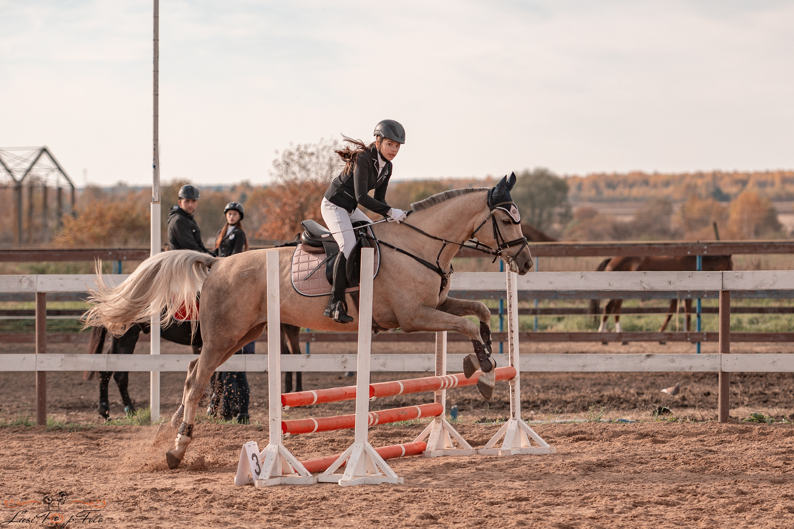 Открытая тренировка КК «Резвая». Конный и фотограф с животными в Твери Топталова Люся