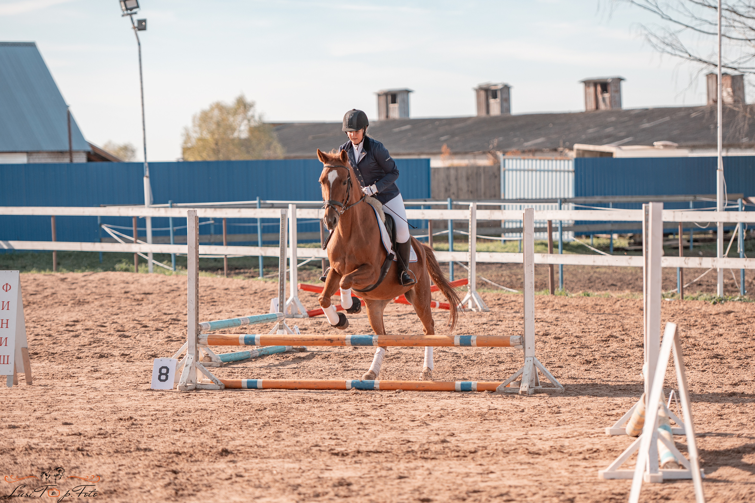 Открытая тренировка КК «Резвая». Конный и фотограф с животными в Твери Топталова Люся