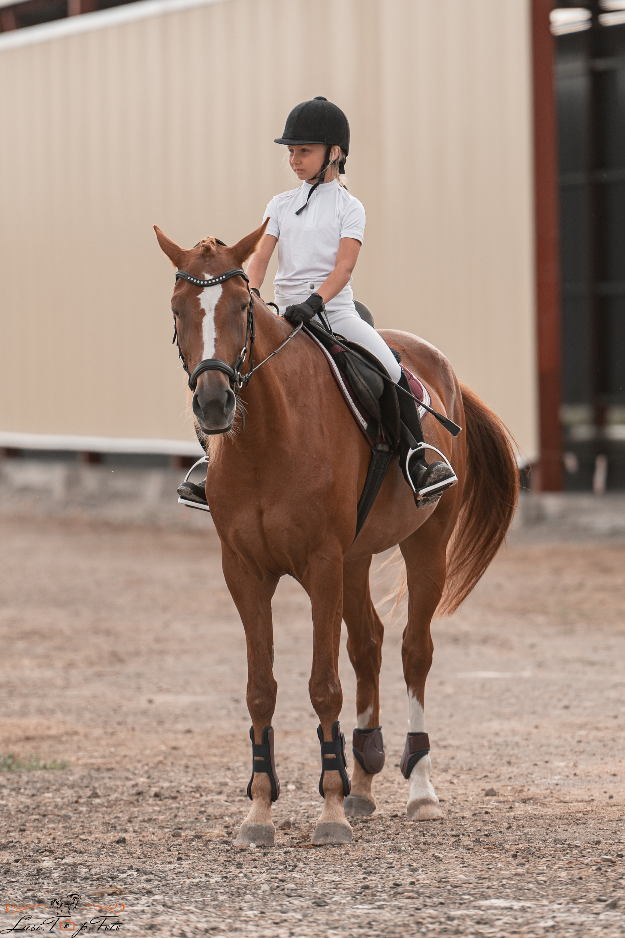 Открытая тренировка по конкуру в КК Equipark. Конный и фотограф с животными в Твери Топталова Люся