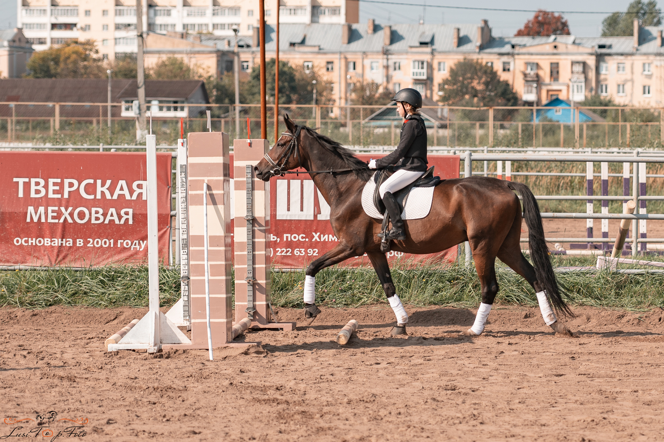 Турнир по выездке и конкуру памяти Н. Ю. Серовой (второй день — конкур). Конный и фотограф с животными в Твери Топталова Люся