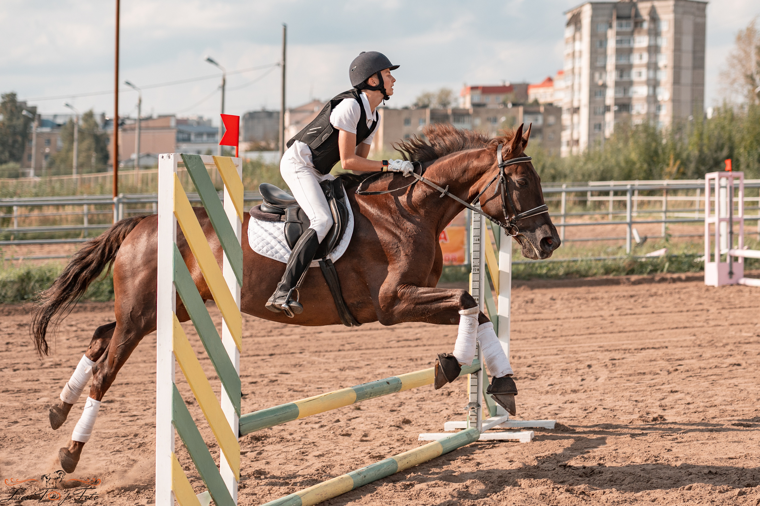 Турнир по выездке и конкуру памяти Н. Ю. Серовой (второй день — конкур). Конный и фотограф с животными в Твери Топталова Люся
