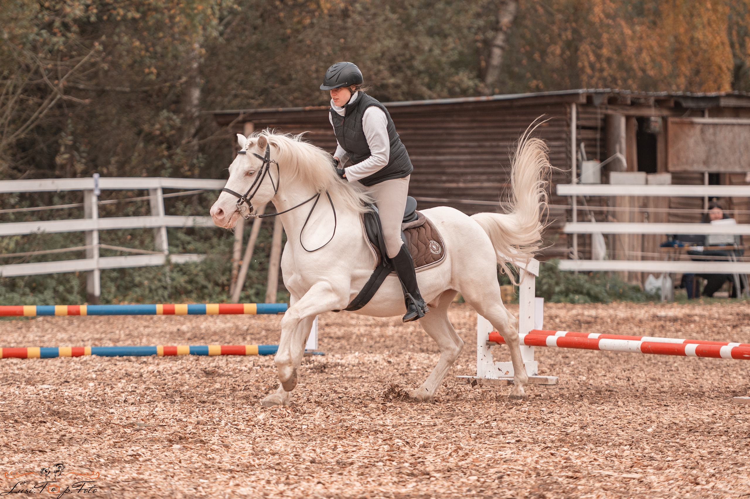 КК Траверсале Конкур. Конный и фотограф с животными в Твери Топталова Люся