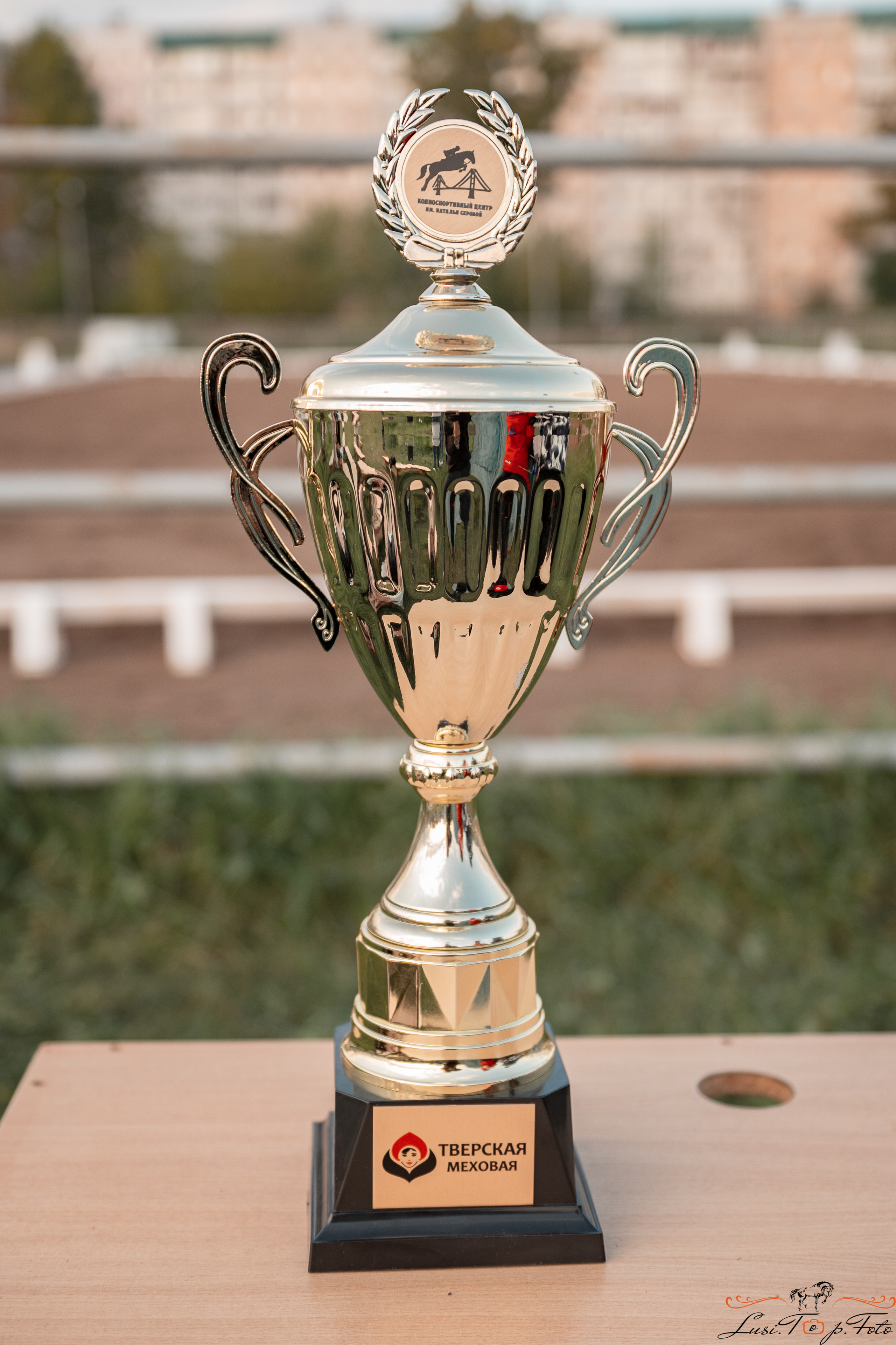 Турнир по выездке и конкуру памяти Н. Ю. Серовой (день 1 — выездка). Конный и фотограф с животными в Твери Топталова Люся