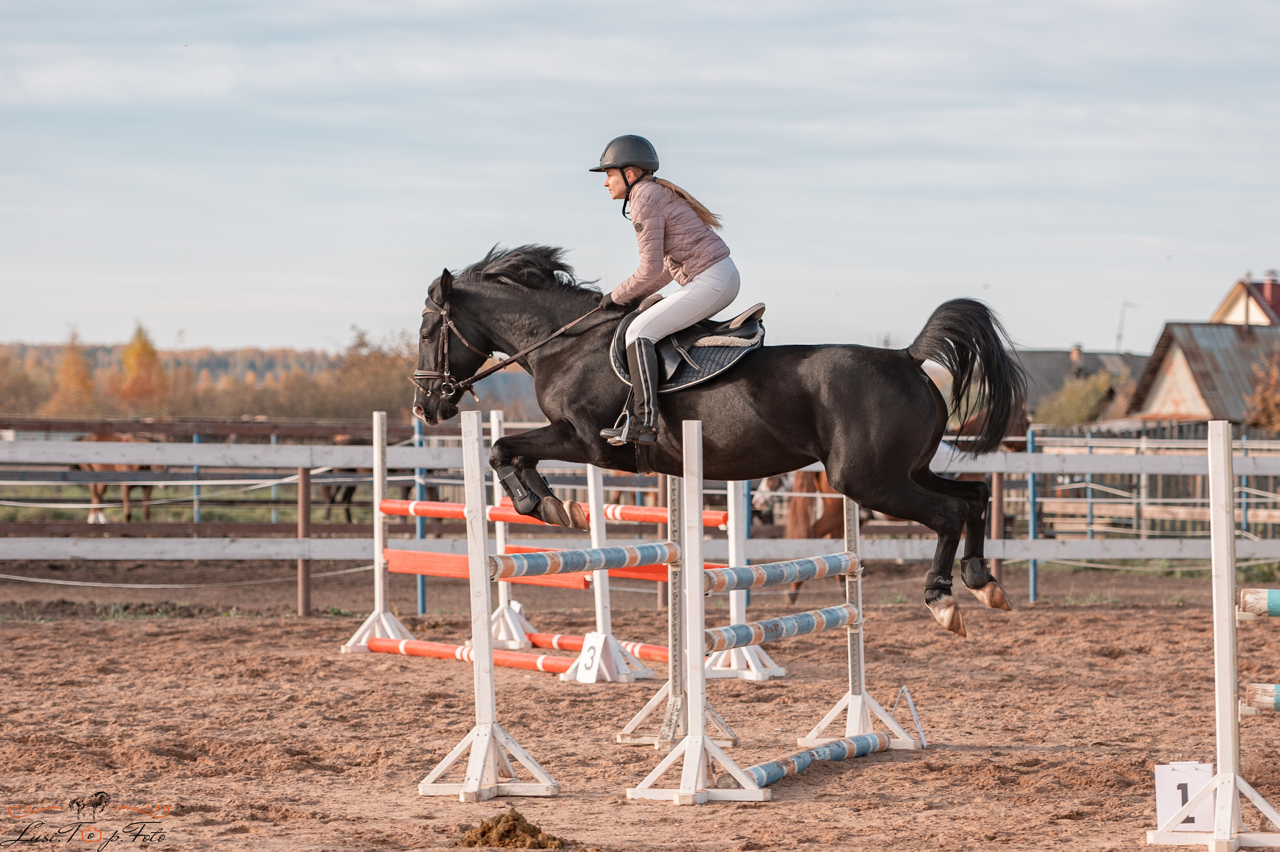 Открытая тренировка КК «Резвая». Конный и фотограф с животными в Твери Топталова Люся