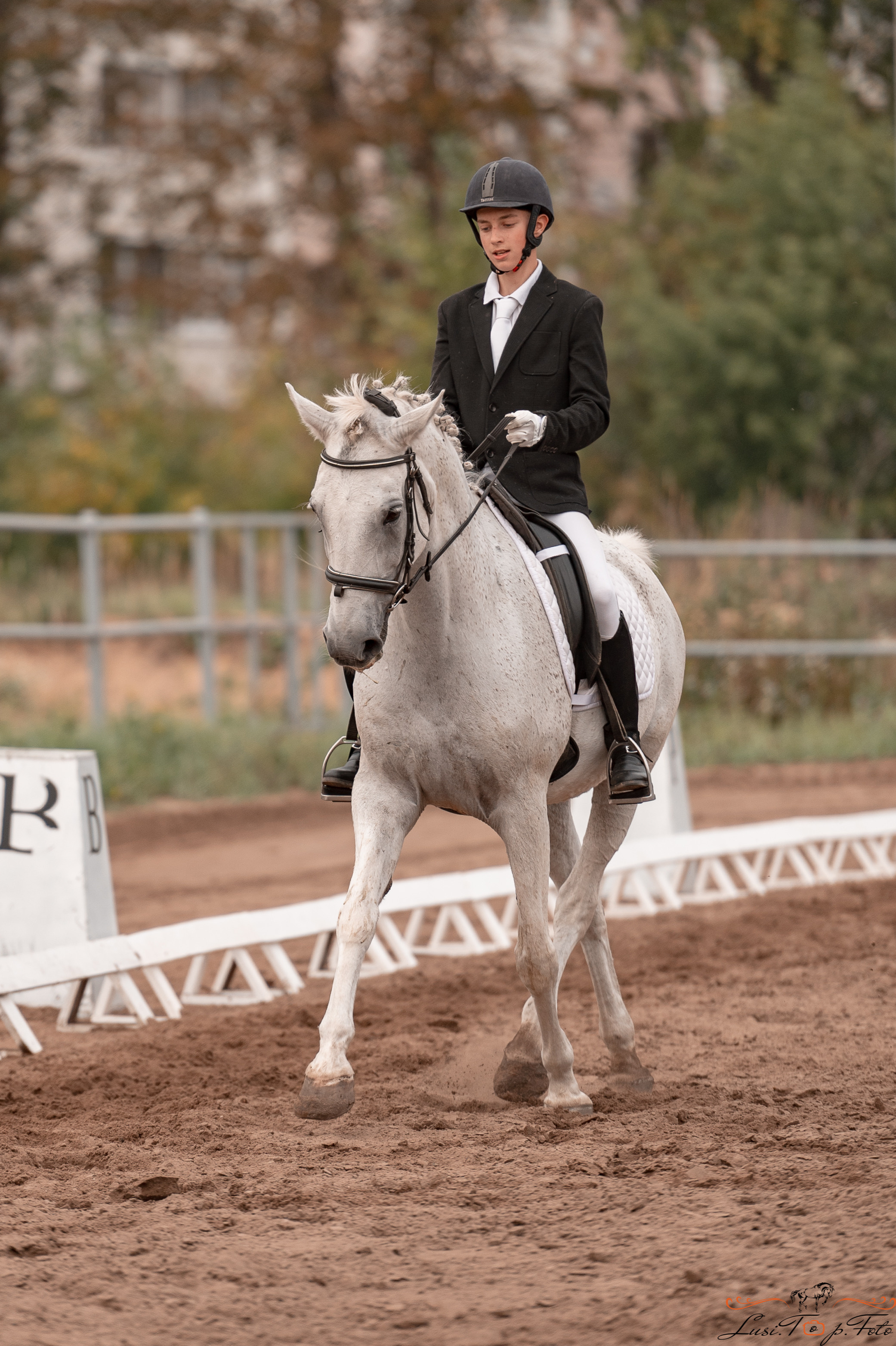 Турнир по выездке и конкуру памяти Н. Ю. Серовой (день 1 — выездка). Конный и фотограф с животными в Твери Топталова Люся