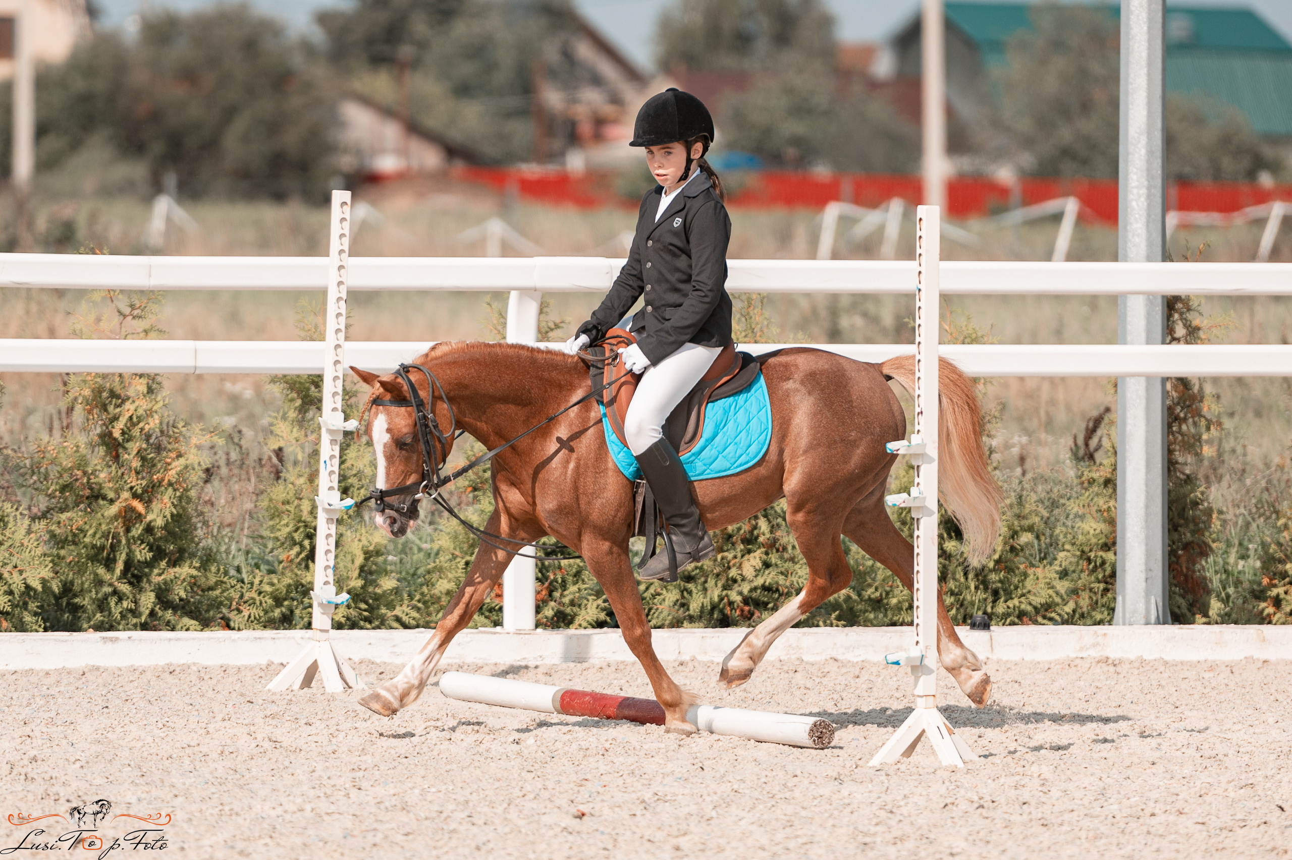 Открытая тренировка по конкуру в КК Equipark. Конный и фотограф с животными в Твери Топталова Люся