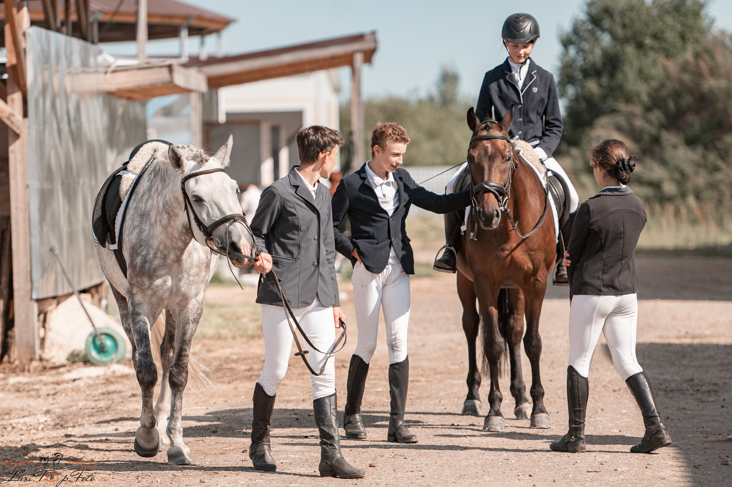 Открытая тренировка по выездке в КК Equipark. Конный и фотограф с животными в Твери Топталова Люся