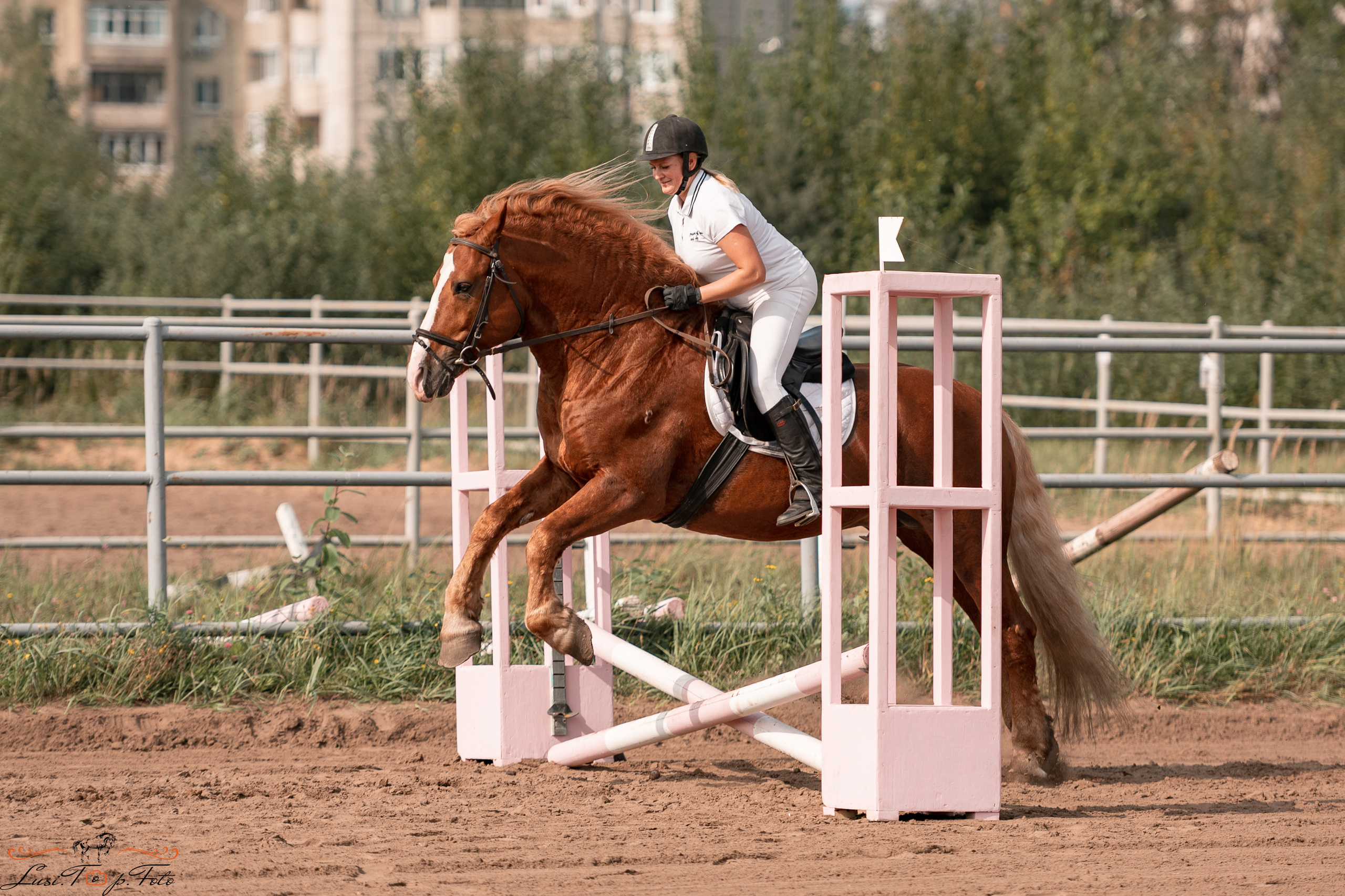 Турнир по выездке и конкуру памяти Н. Ю. Серовой (второй день — конкур). Конный и фотограф с животными в Твери Топталова Люся