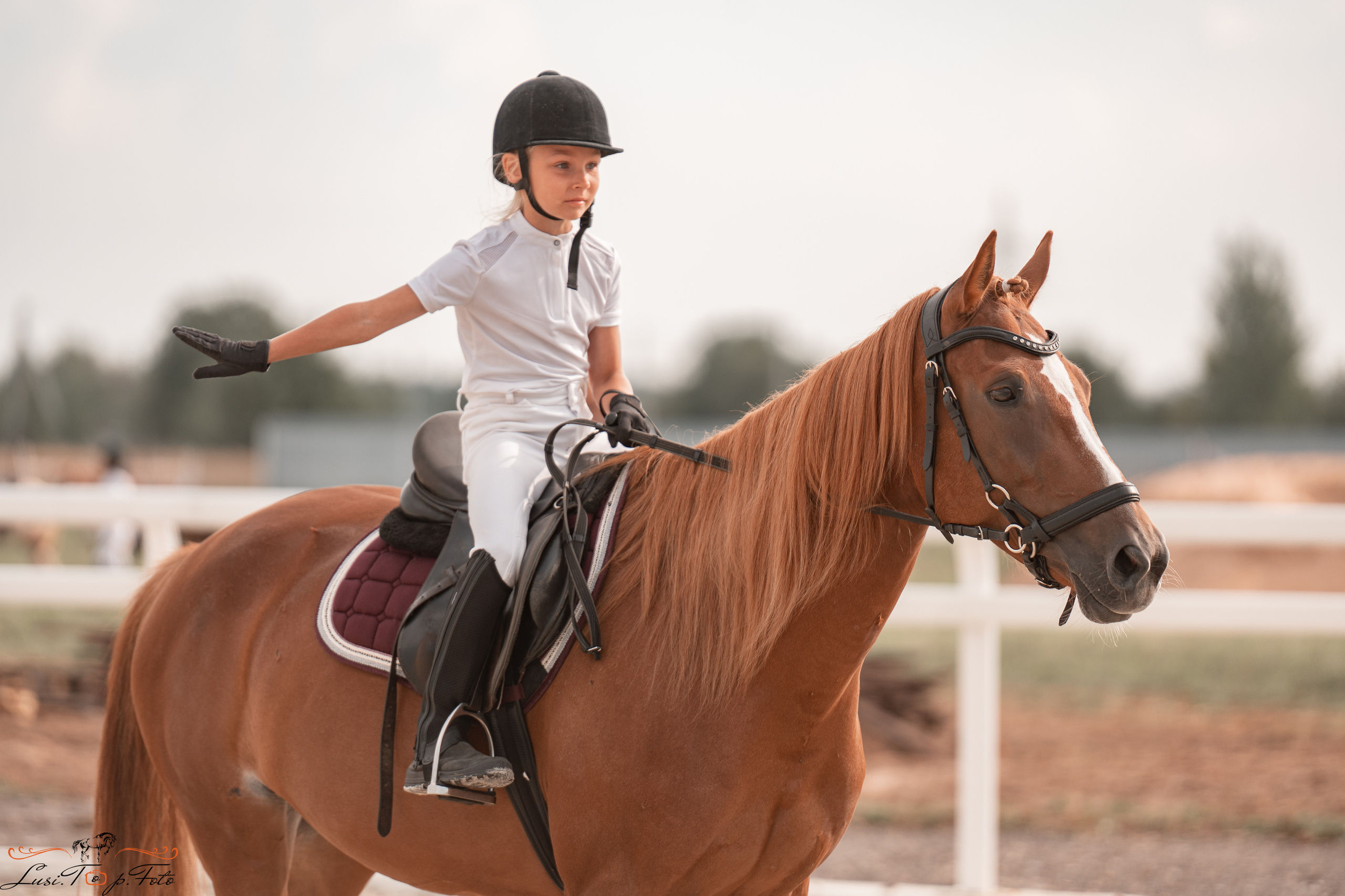 Открытая тренировка по конкуру в КК Equipark. Конный и фотограф с животными в Твери Топталова Люся