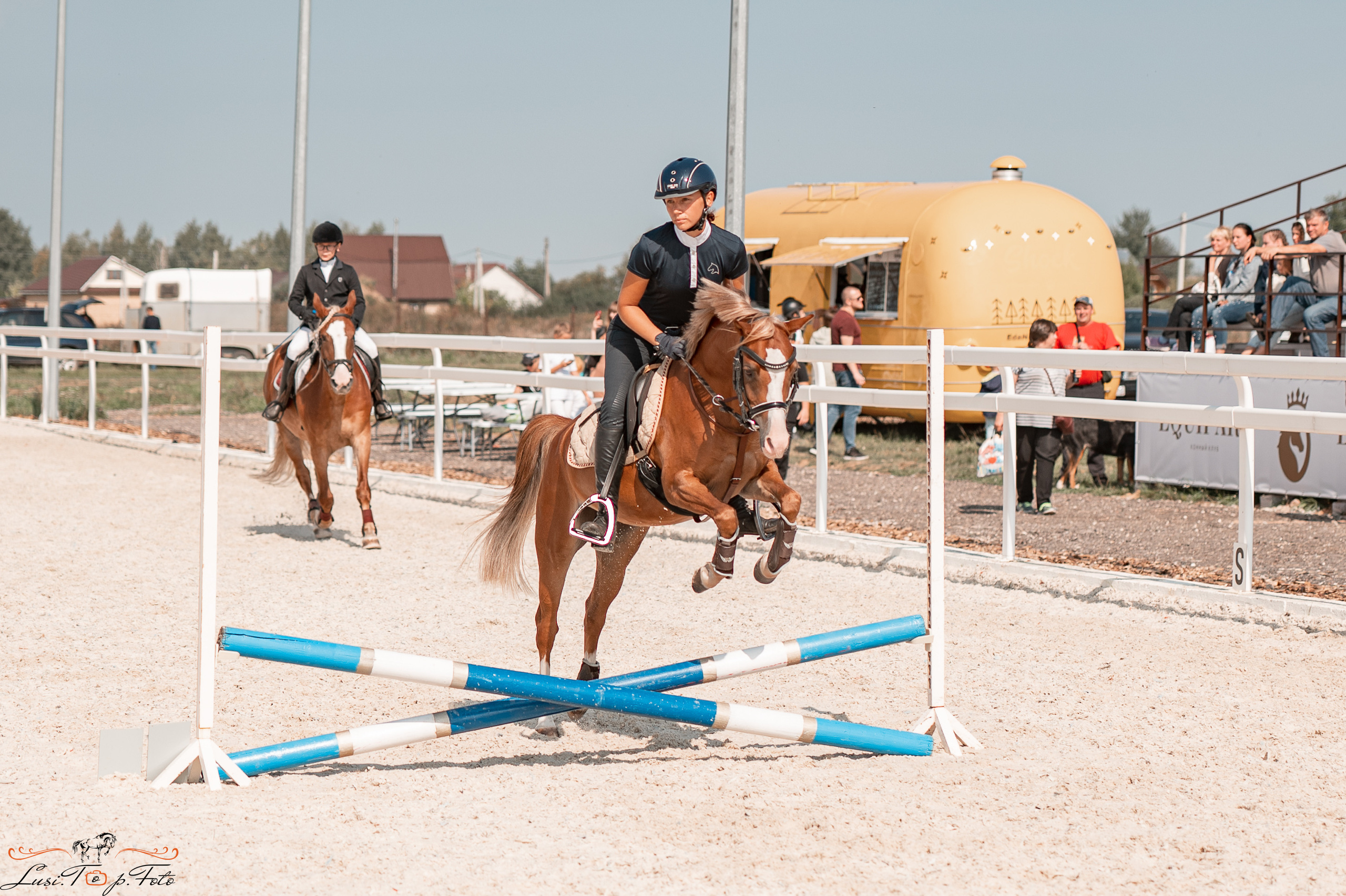 Открытая тренировка по конкуру в КК Equipark. Конный и фотограф с животными в Твери Топталова Люся