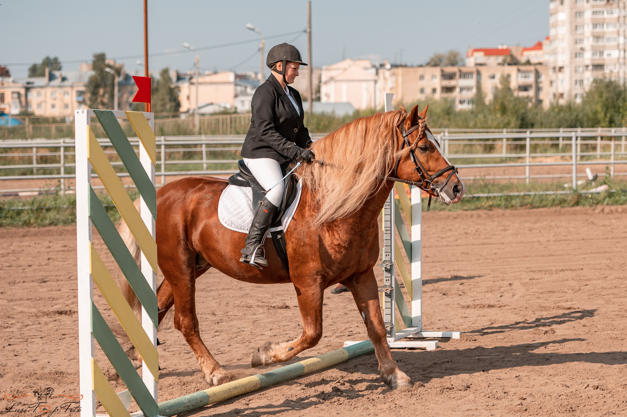 Турнир по выездке и конкуру памяти Н. Ю. Серовой (второй день — конкур). Конный и фотограф с животными в Твери Топталова Люся