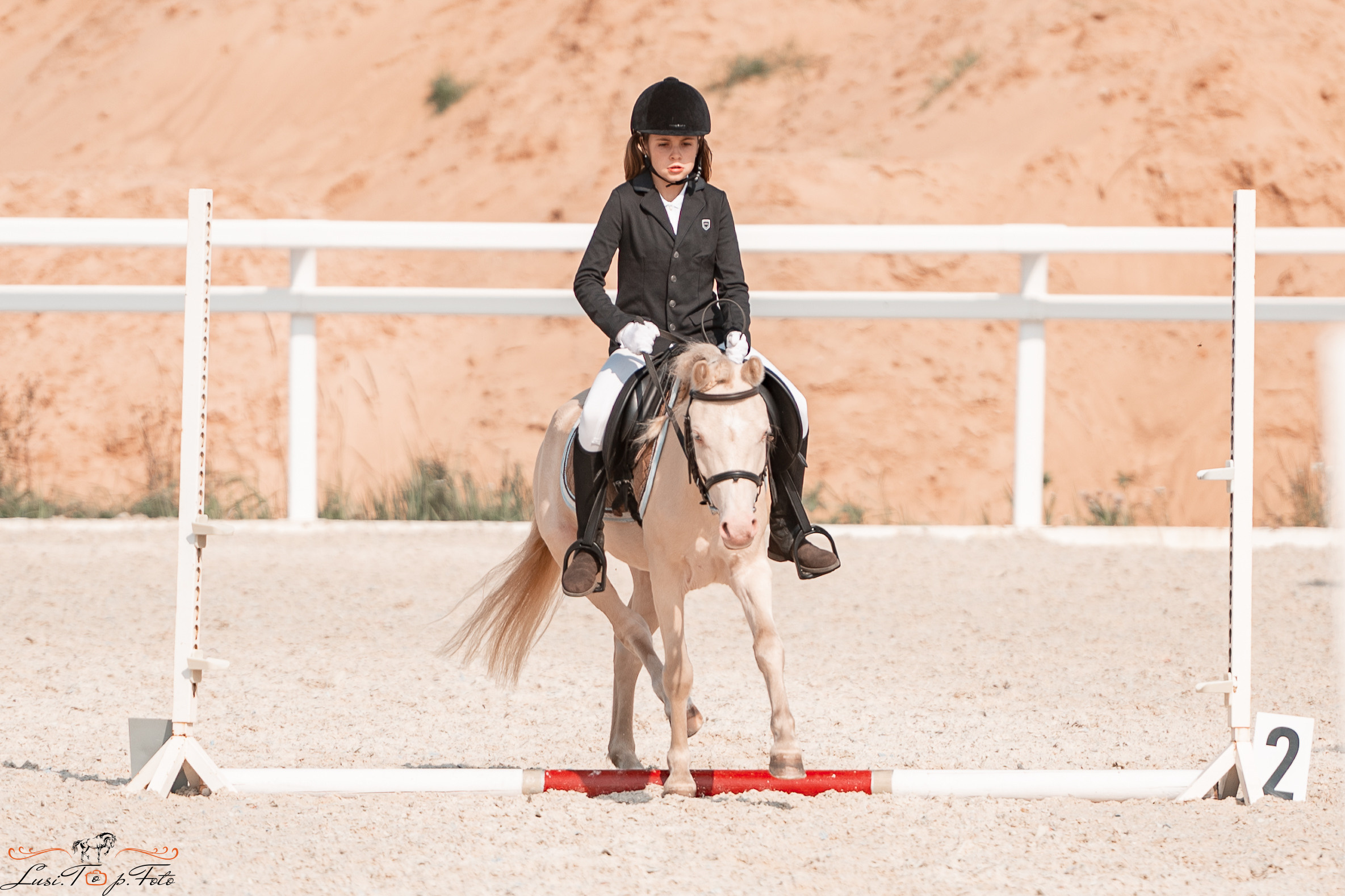 Открытая тренировка по конкуру в КК Equipark. Конный и фотограф с животными в Твери Топталова Люся