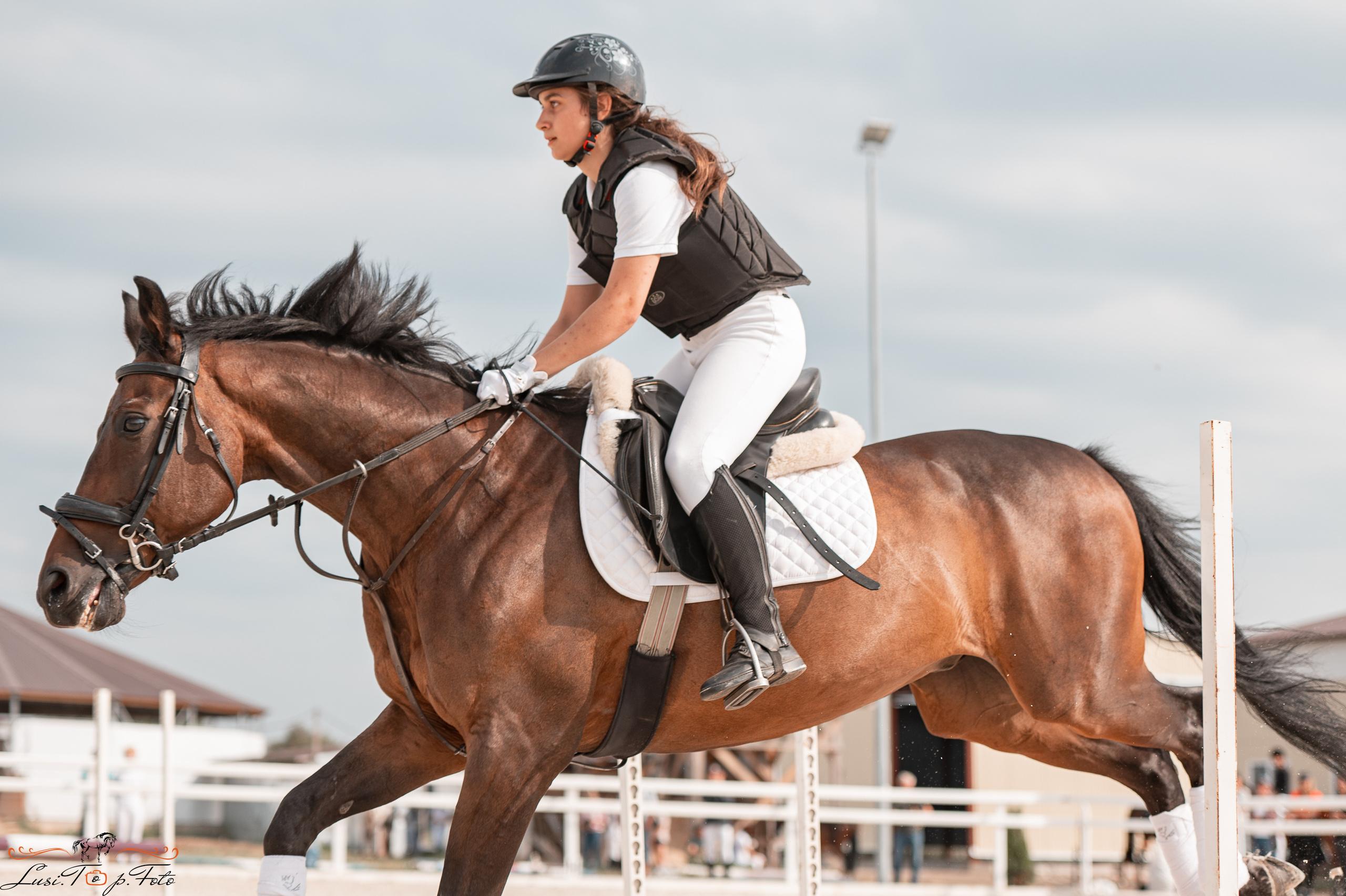 Открытая тренировка по конкуру в КК Equipark. Конный и фотограф с животными в Твери Топталова Люся