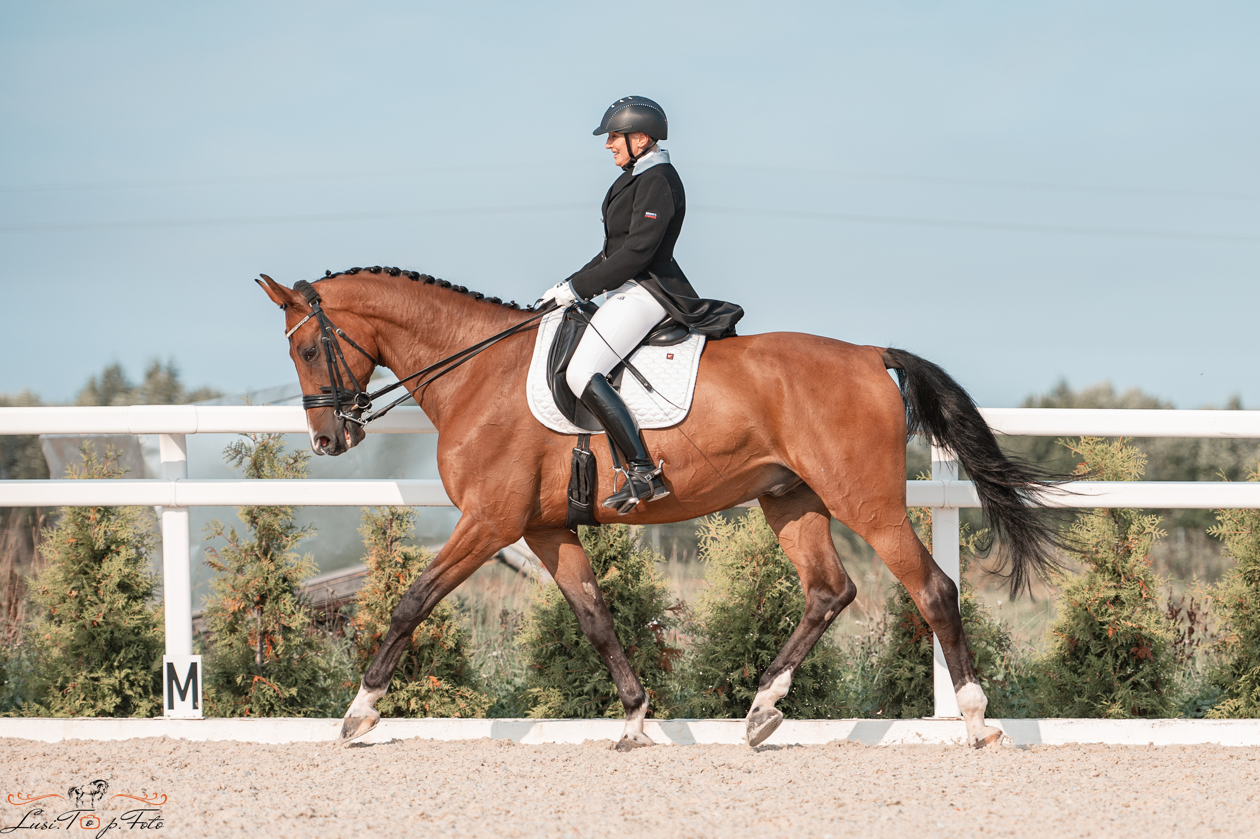 Открытая тренировка по выездке в КК Equipark. Конный и фотограф с животными в Твери Топталова Люся