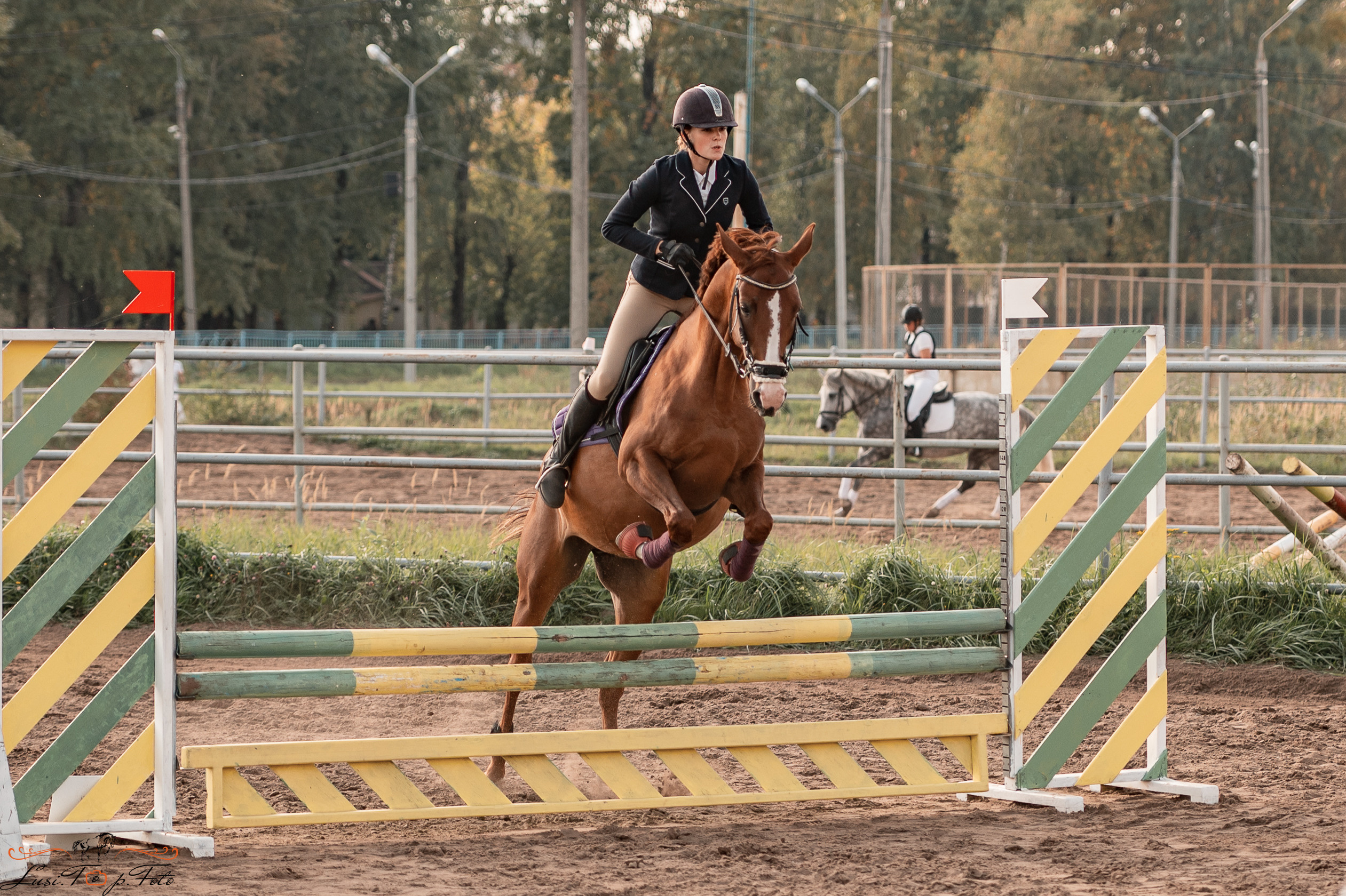 Турнир по выездке и конкуру памяти Н. Ю. Серовой (второй день — конкур). Конный и фотограф с животными в Твери Топталова Люся