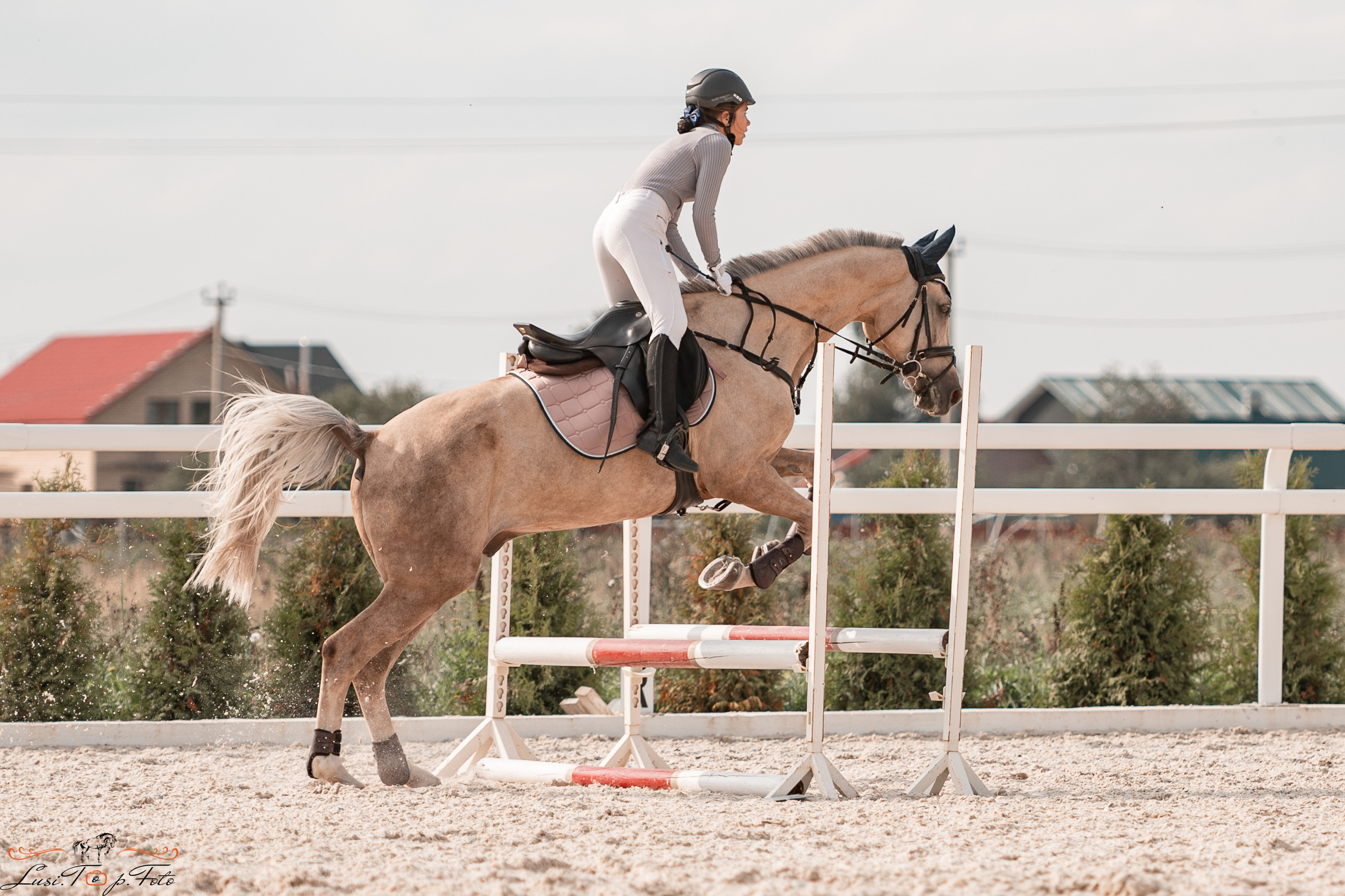 Открытая тренировка по конкуру в КК Equipark. Конный и фотограф с животными в Твери Топталова Люся