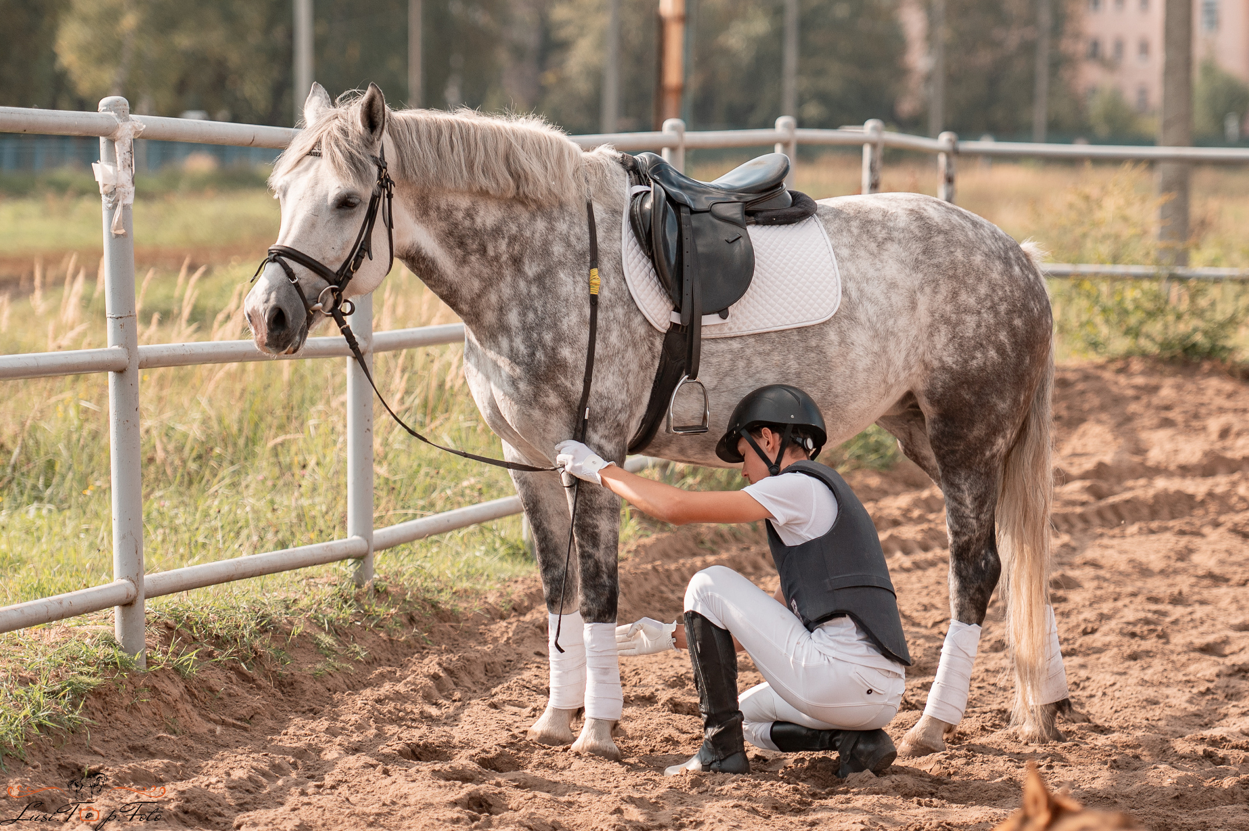 Турнир по выездке и конкуру памяти Н. Ю. Серовой (второй день — конкур). Конный и фотограф с животными в Твери Топталова Люся