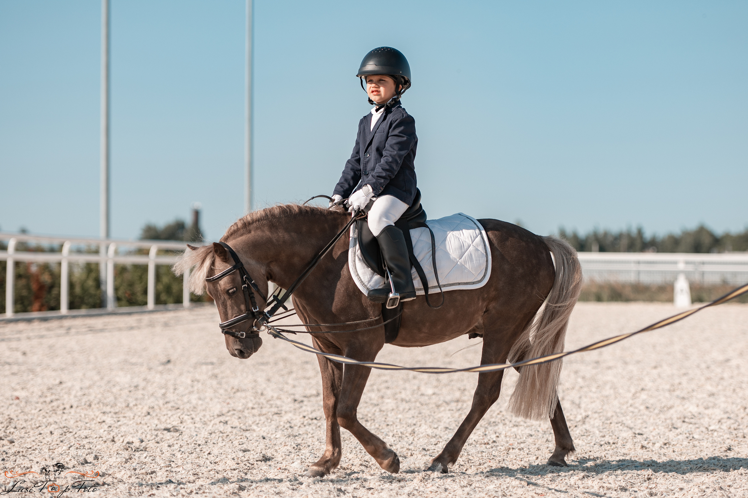 Открытая тренировка по выездке в КК Equipark. Конный и фотограф с животными в Твери Топталова Люся