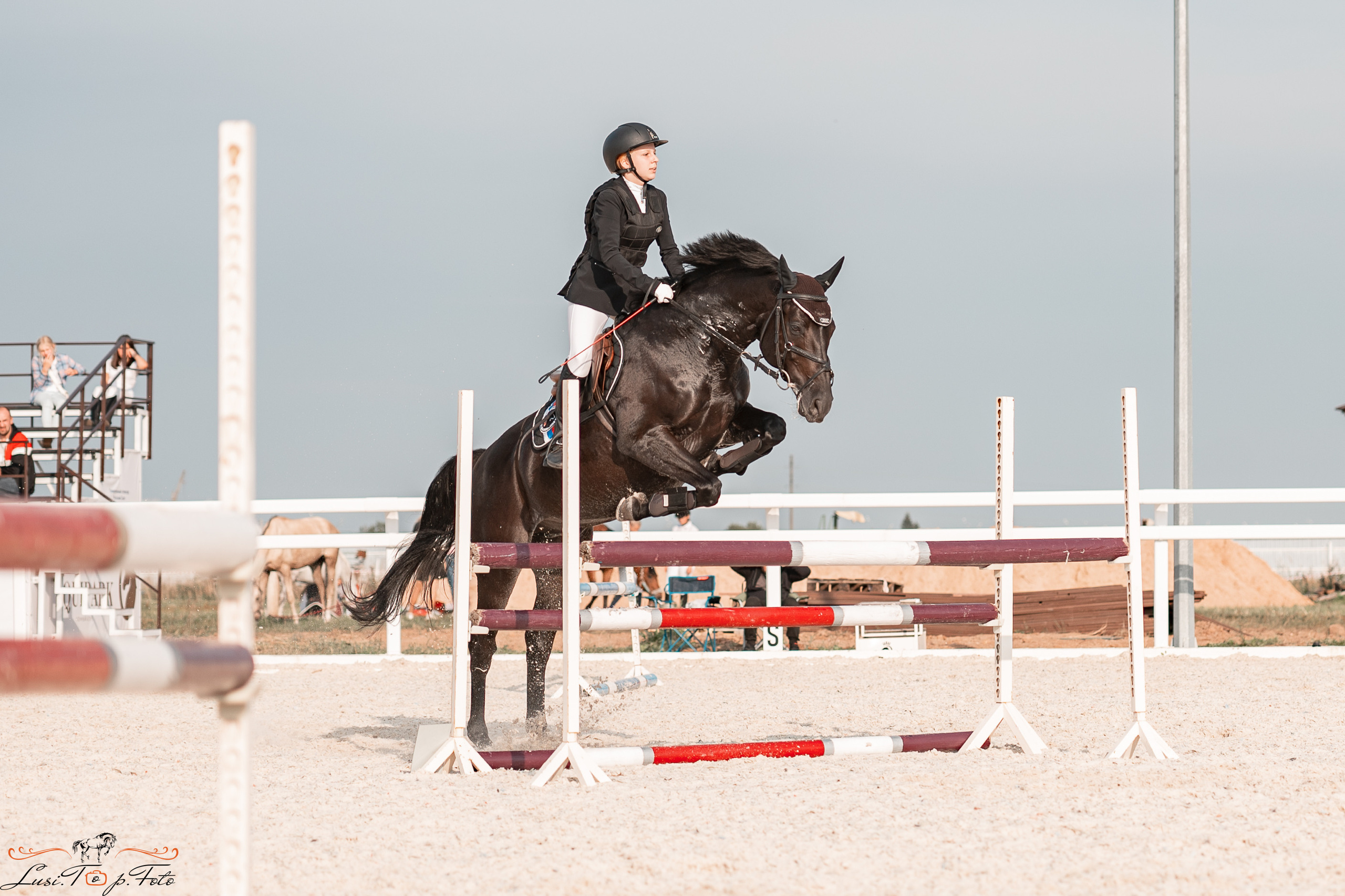 Открытая тренировка по конкуру в КК Equipark. Конный и фотограф с животными в Твери Топталова Люся