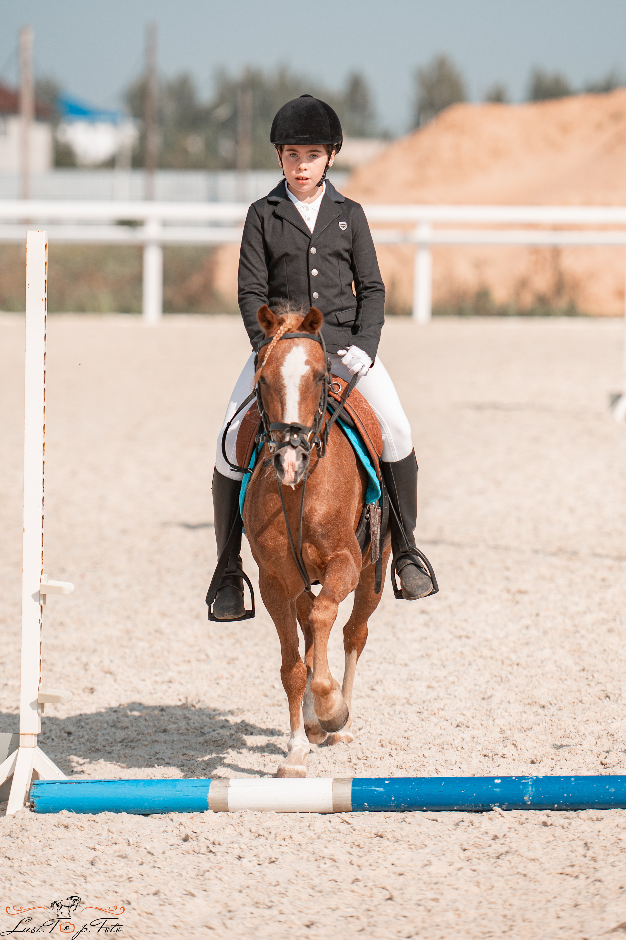Открытая тренировка по конкуру в КК Equipark. Конный и фотограф с животными в Твери Топталова Люся