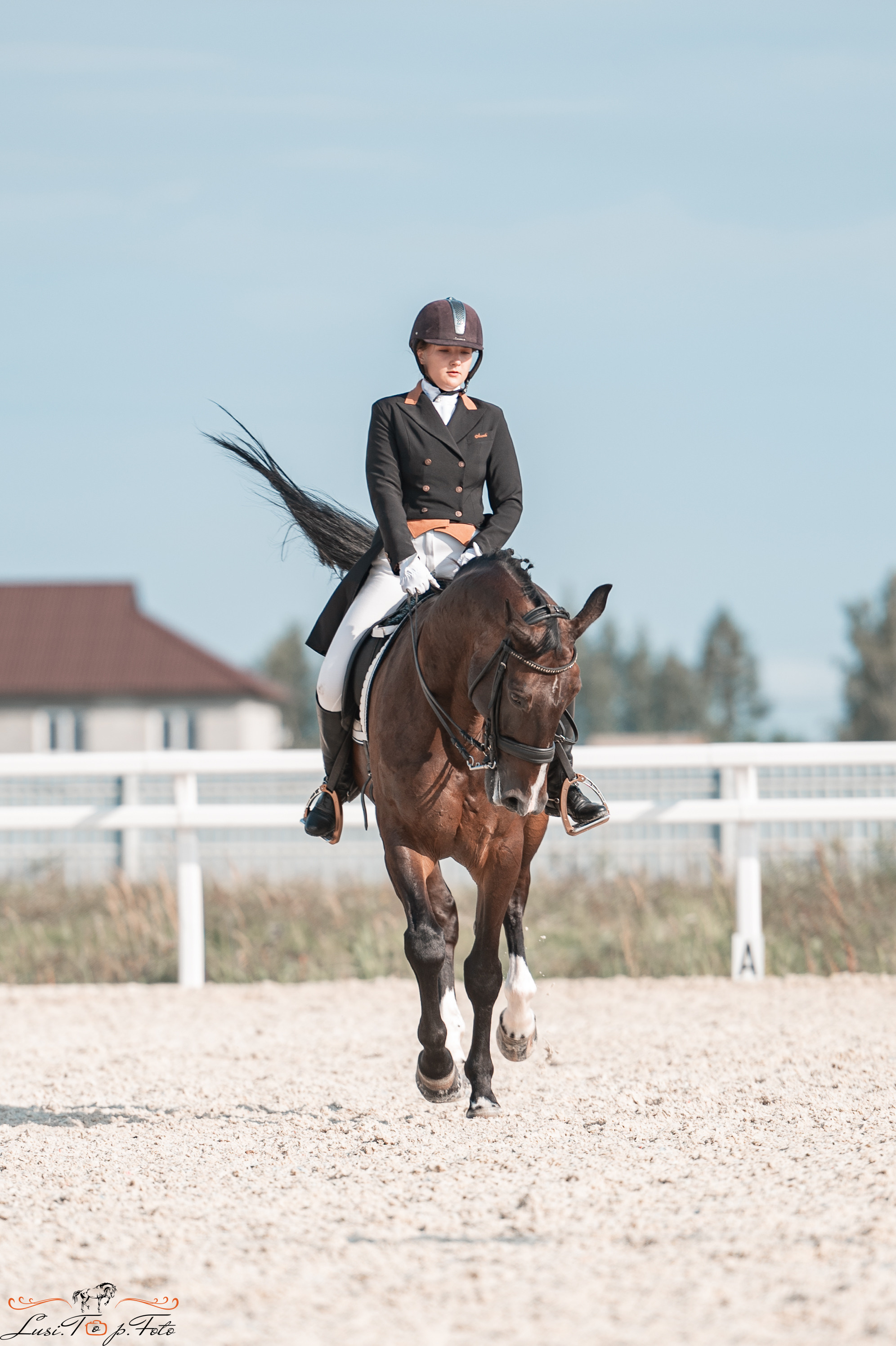 Открытая тренировка по выездке в КК Equipark. Конный и фотограф с животными в Твери Топталова Люся